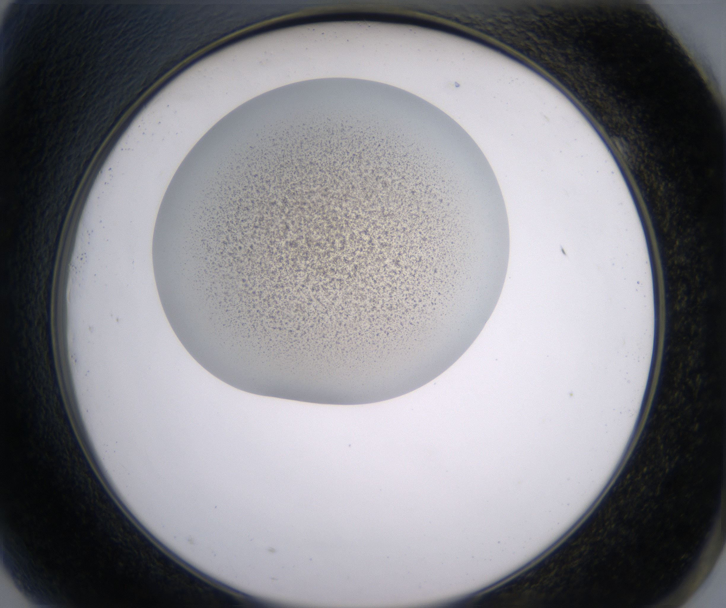 G9_HighResolution_Precipitate_2.jpg