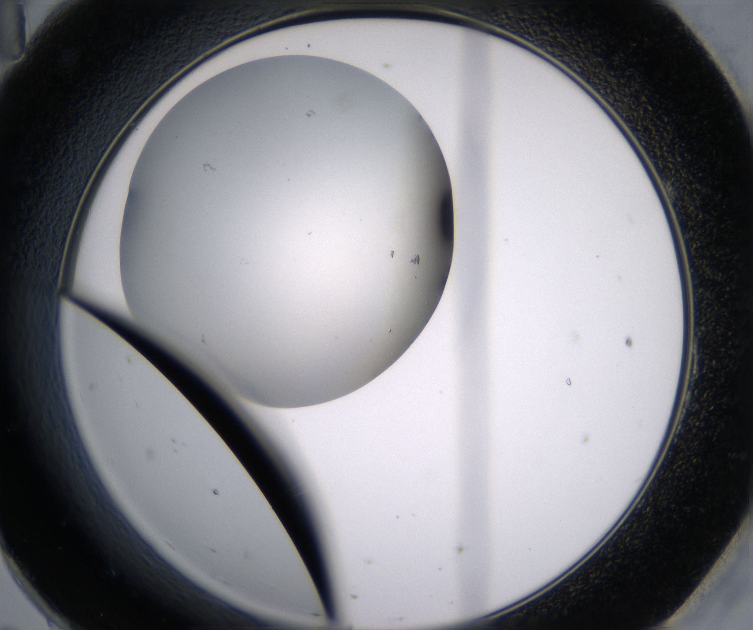 H11_HighResolution_Clear_2.jpg