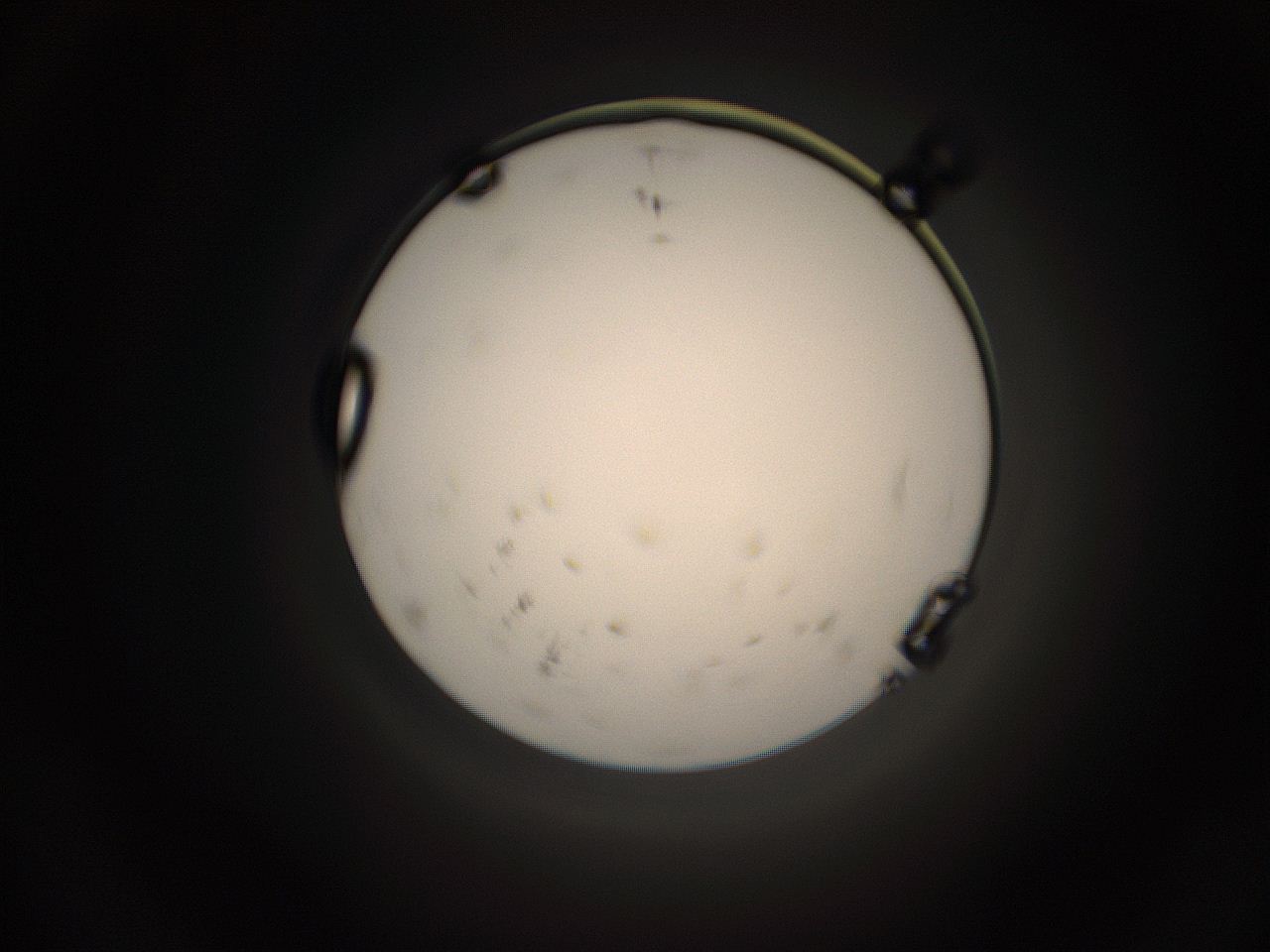 05jg_J17_ImagerDefaults_9.jpg