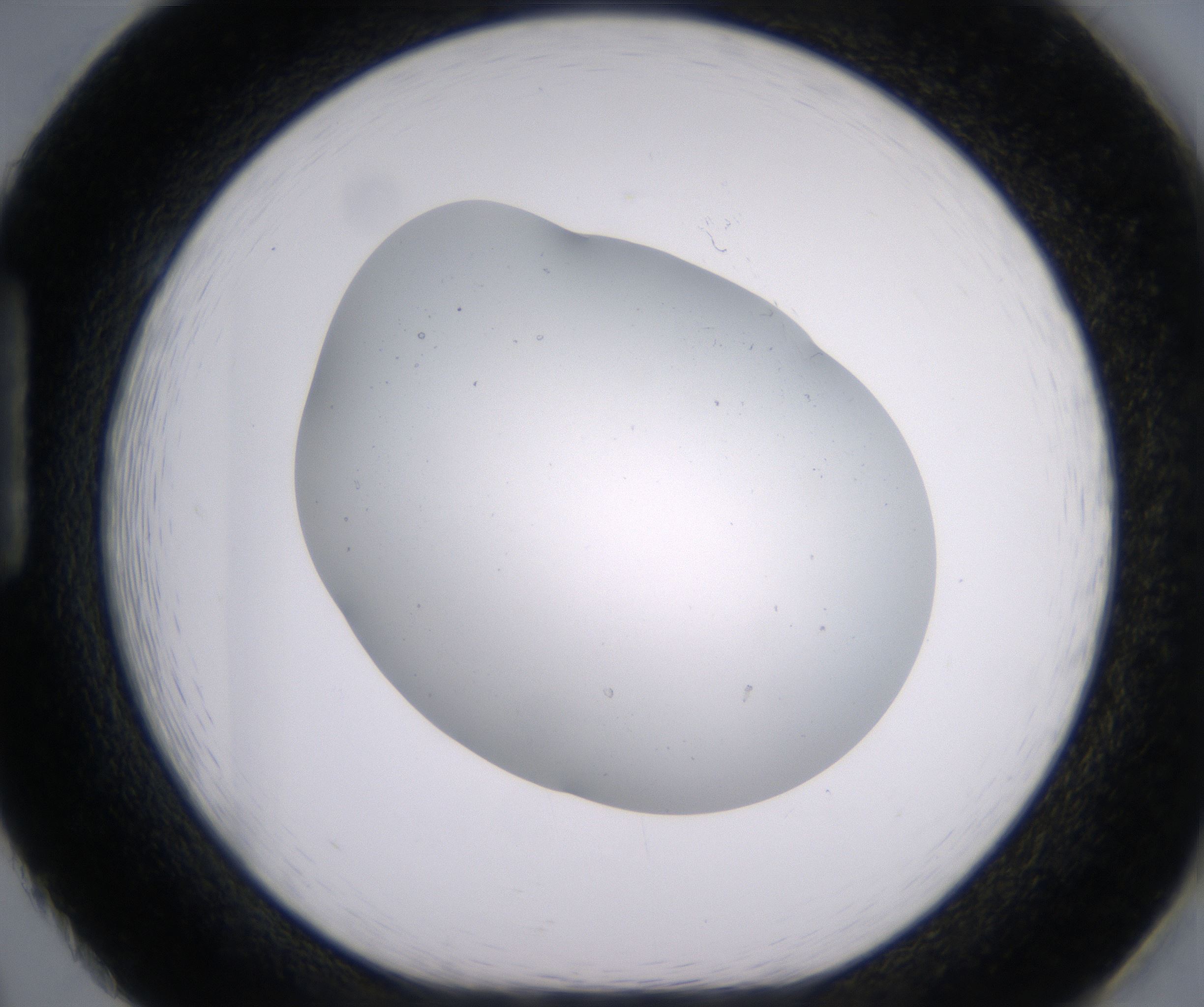 H2_HighResolution_Clear_1.jpg
