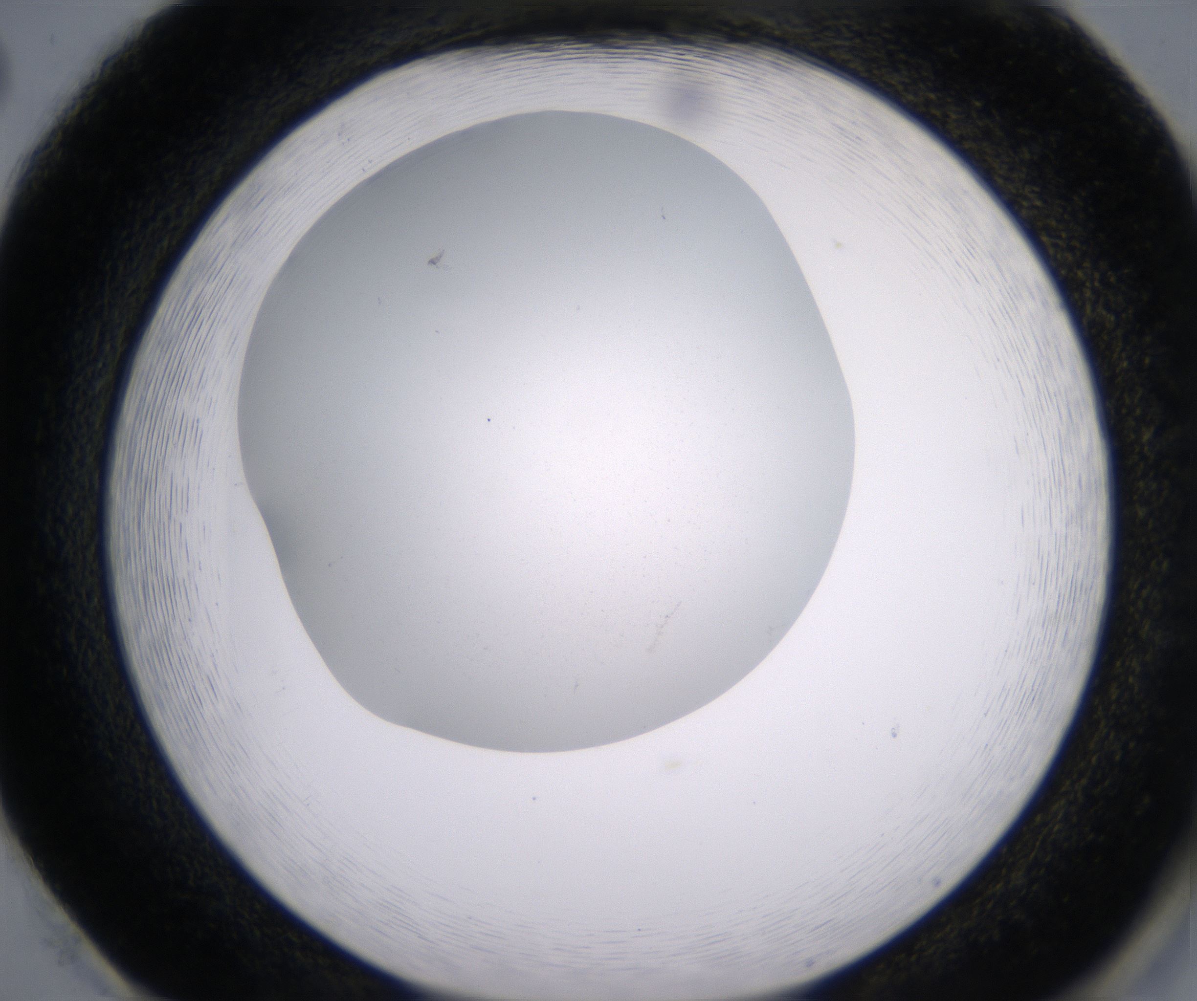 H2_HighResolution_Clear_2.jpg