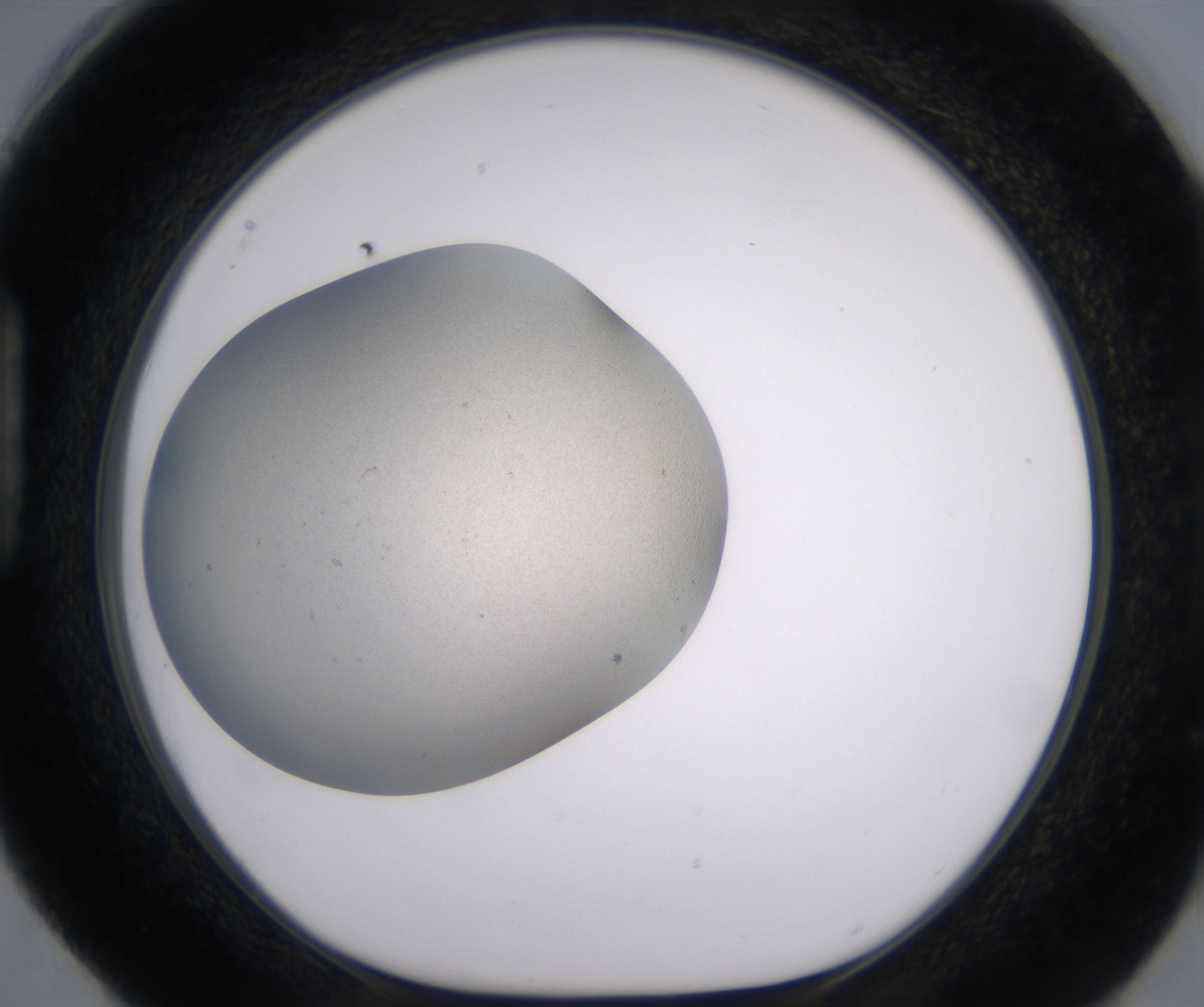 H4_HighResolution_Precipitate_1.jpg