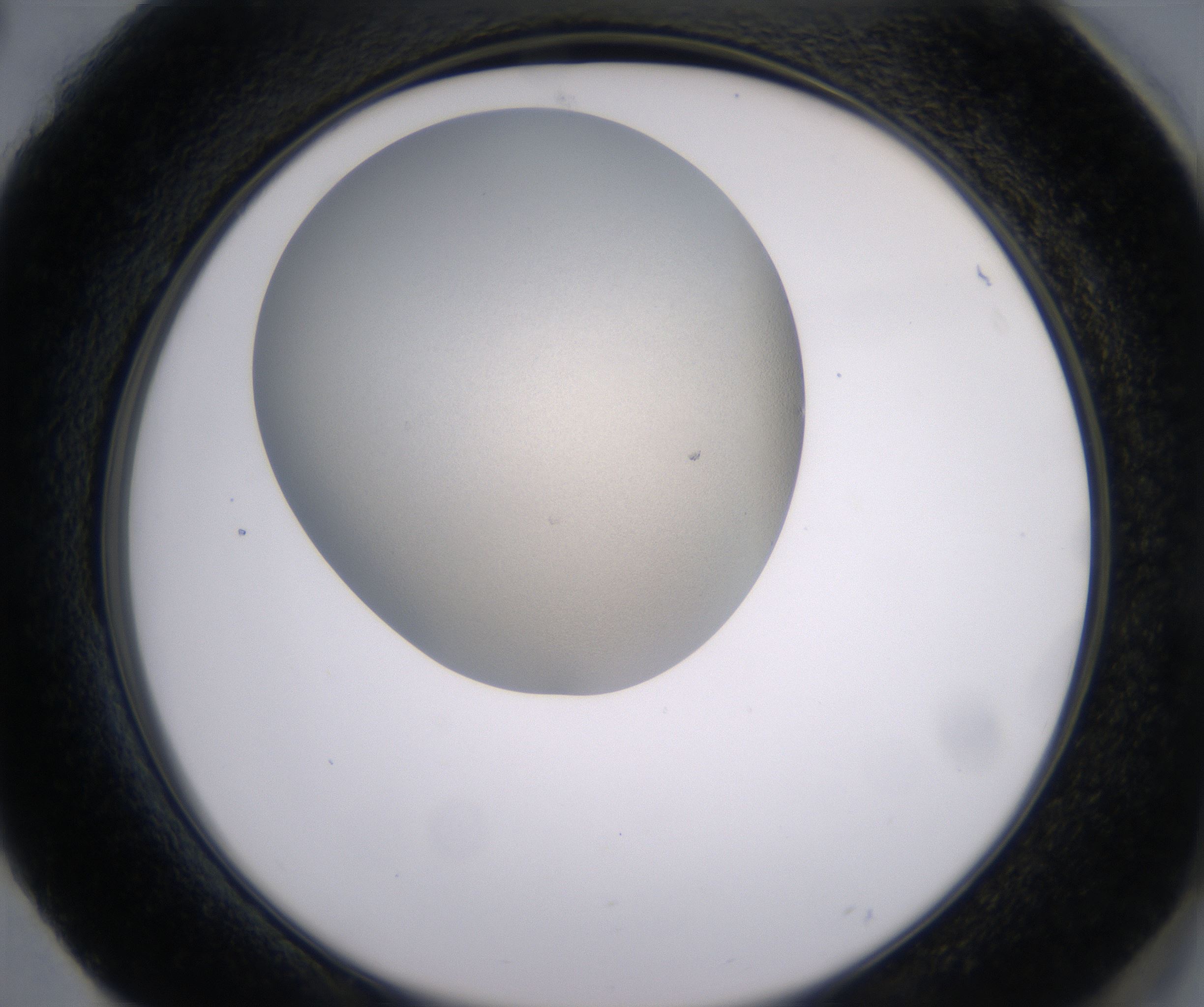 H4_HighResolution_Precipitate_2.jpg