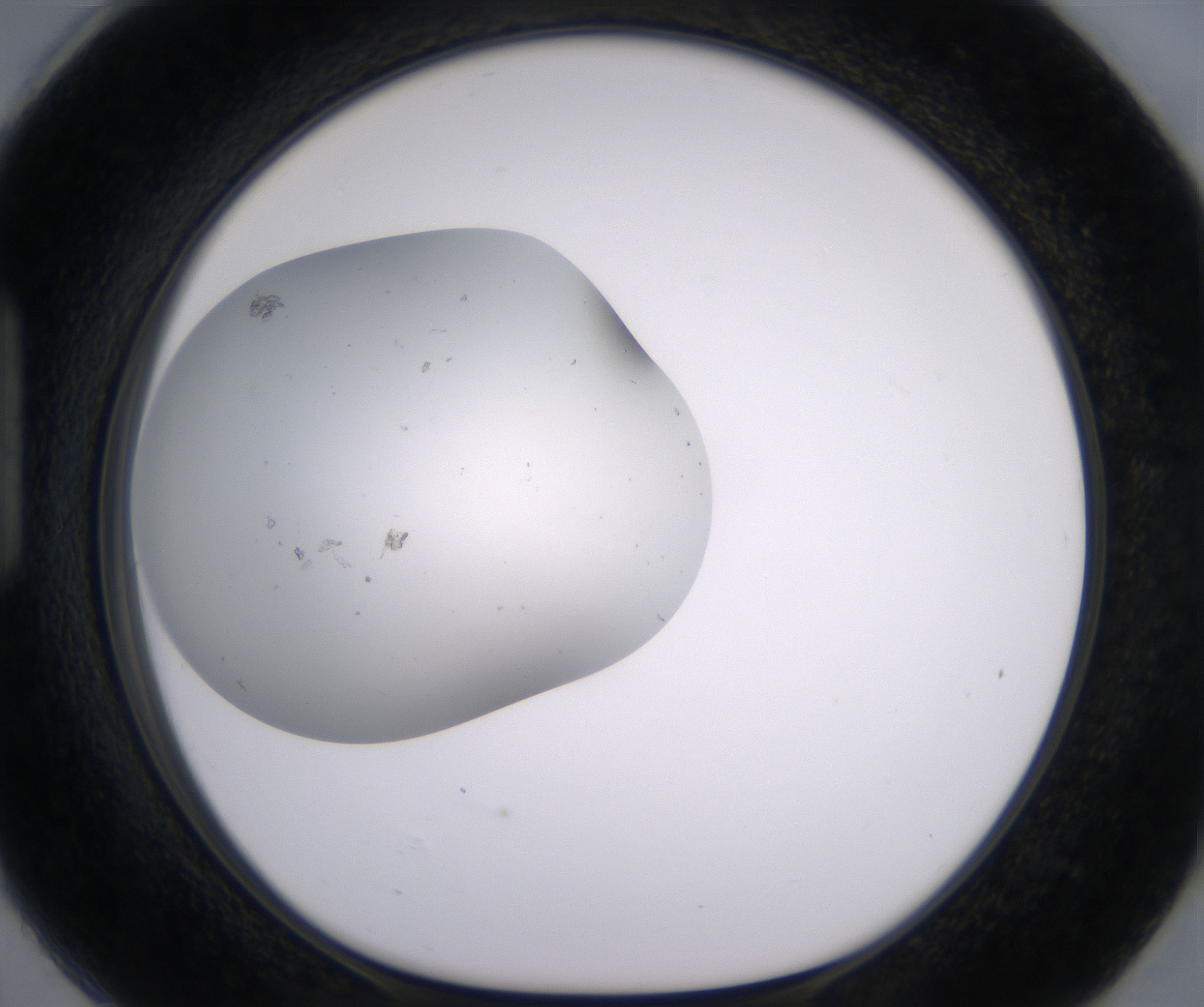 H6_HighResolution_Precipitate_1.jpg
