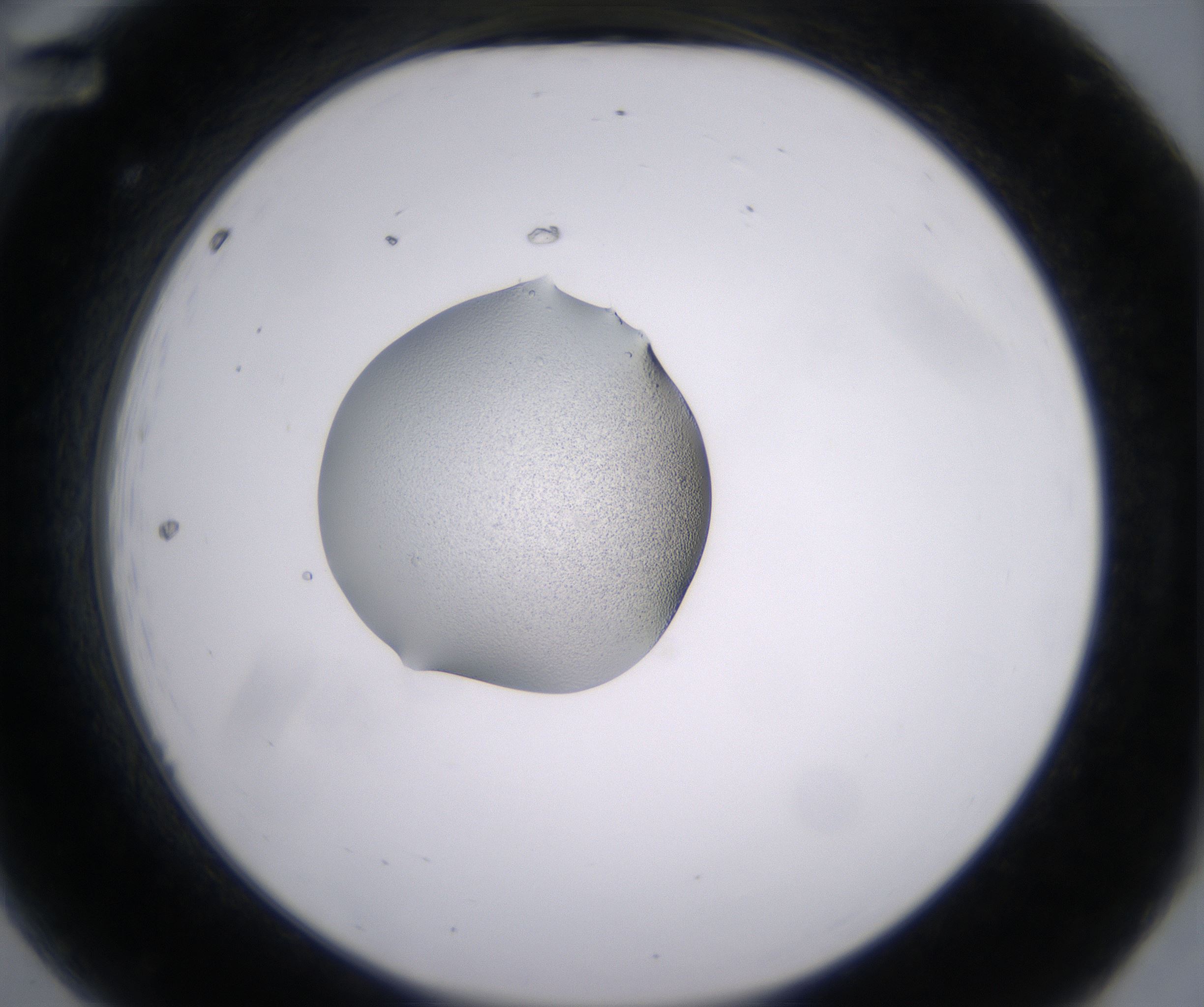 A12_HighResolution_Precipitate_2.jpg