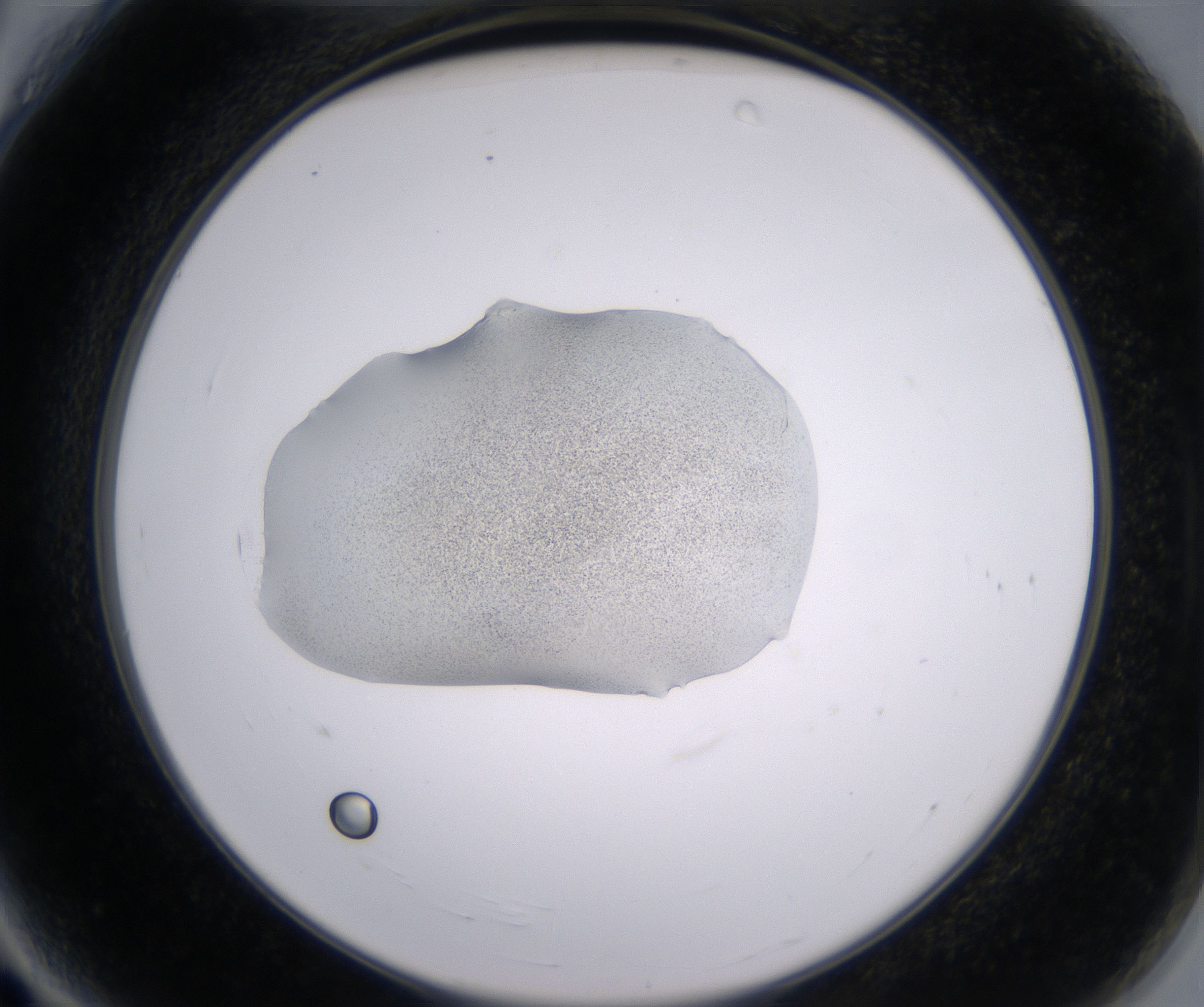 A4_HighResolution_Precipitate_2.jpg