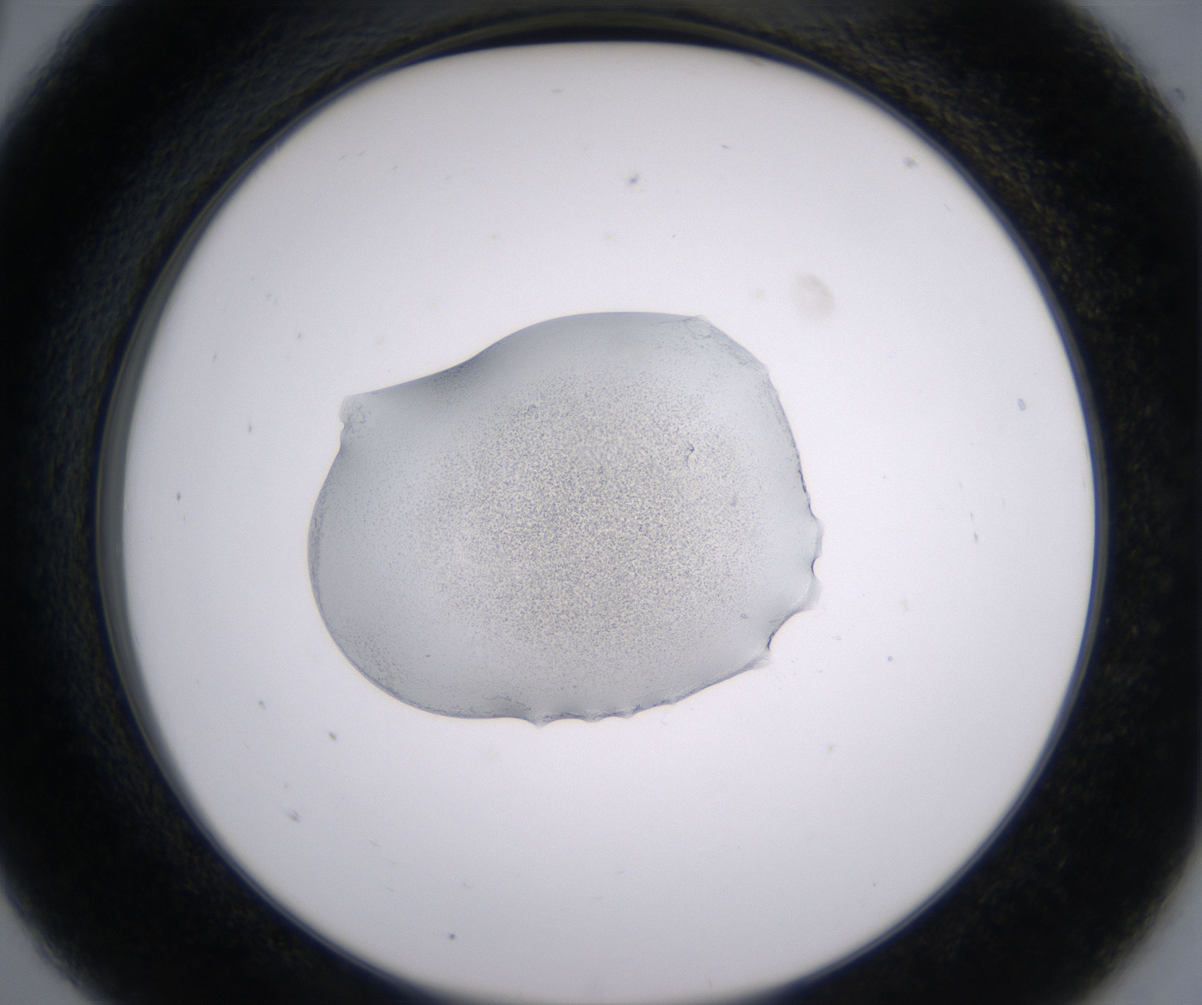 A5_HighResolution_Precipitate_2.jpg