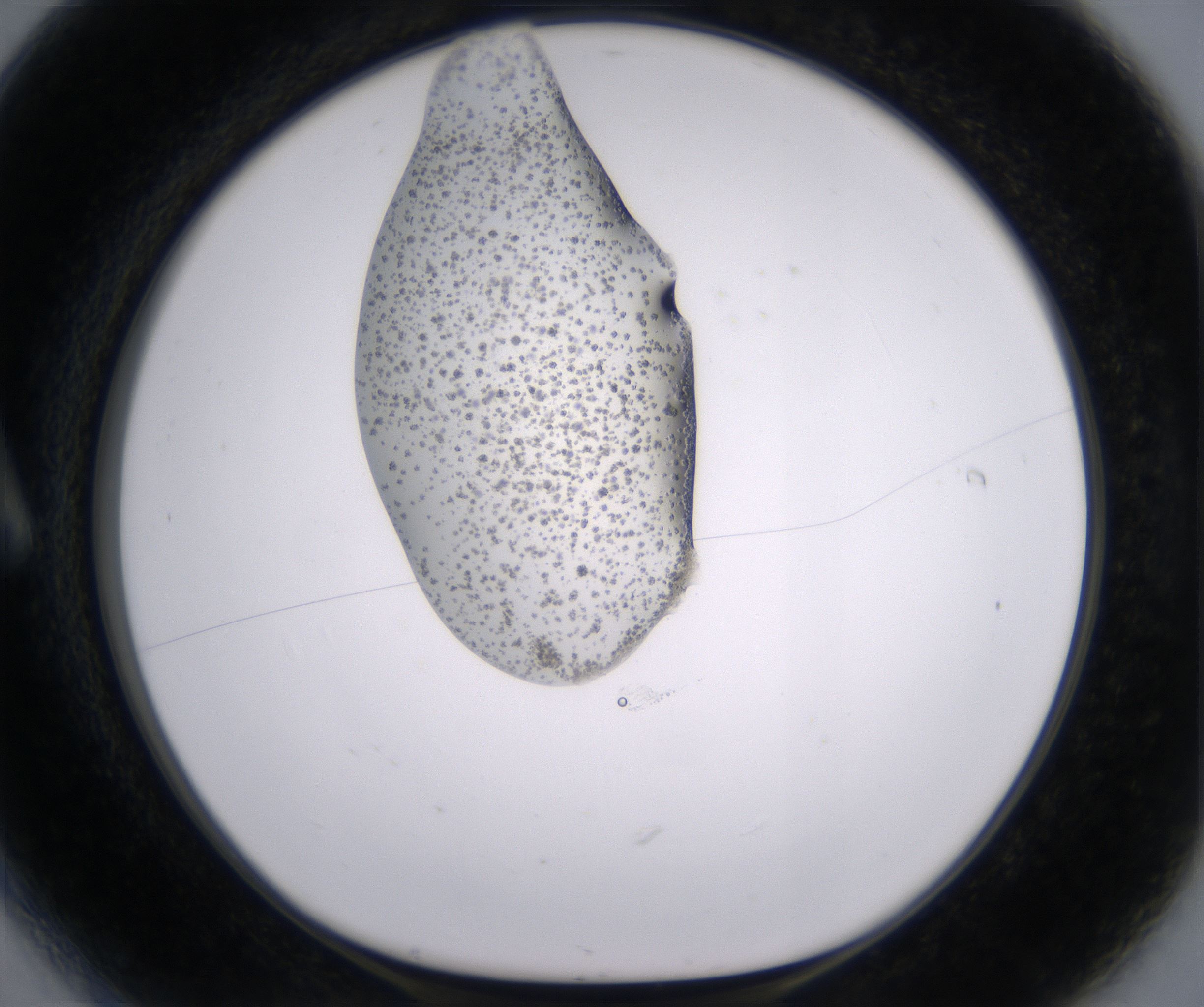 A6_HighResolution_Crystal_1.jpg