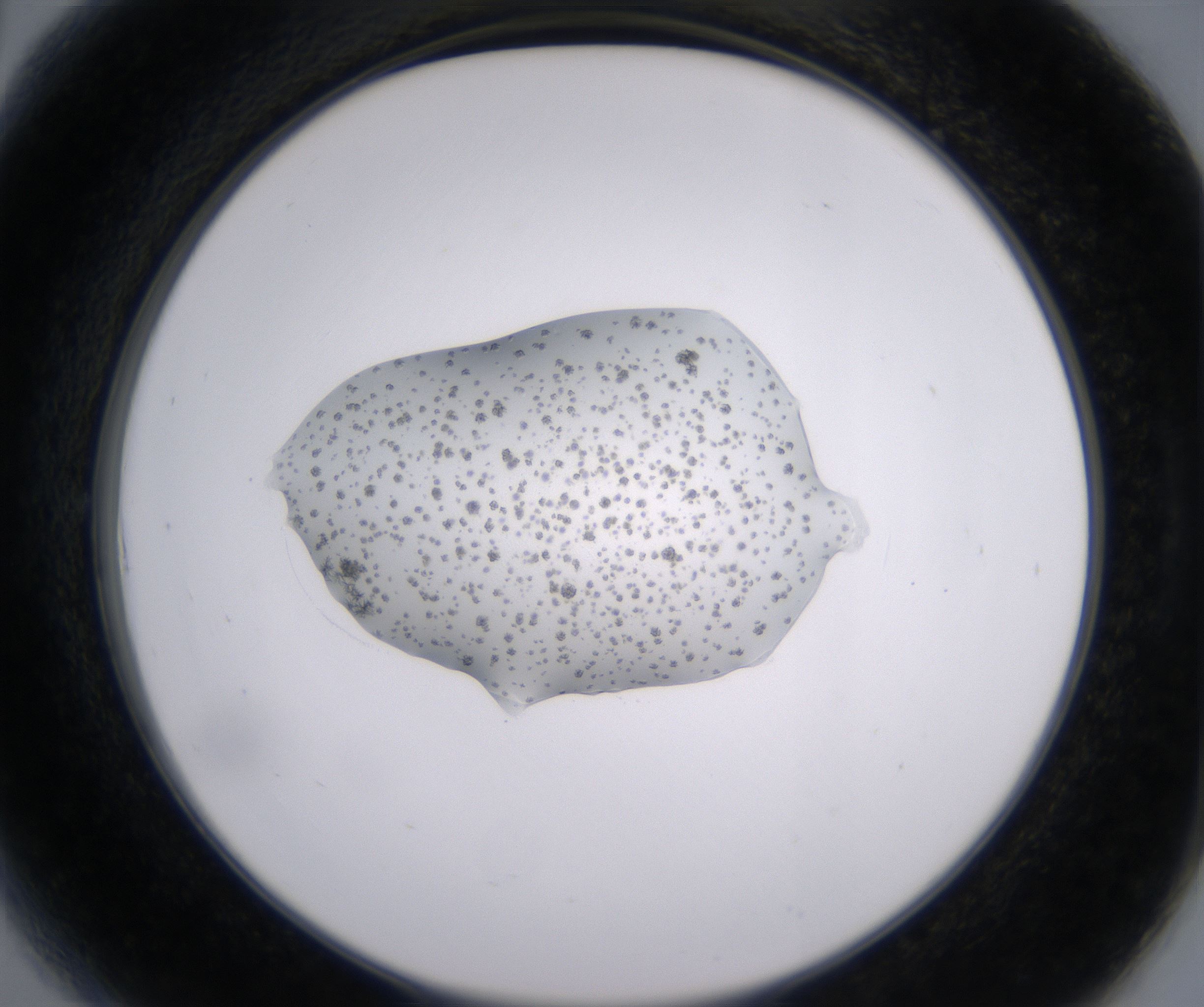 A6_HighResolution_Crystal_2.jpg