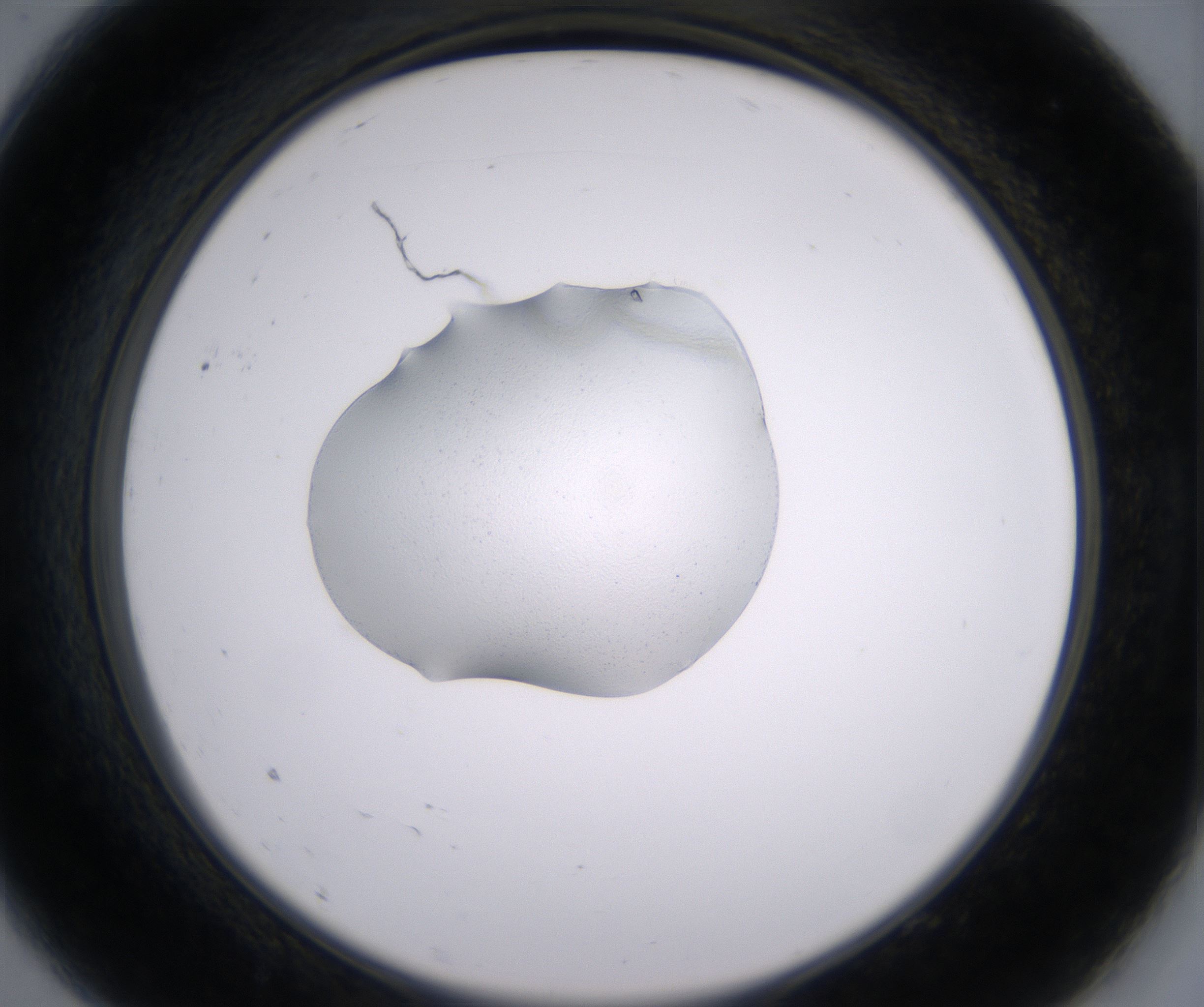 A9_HighResolution_Crystal_2.jpg