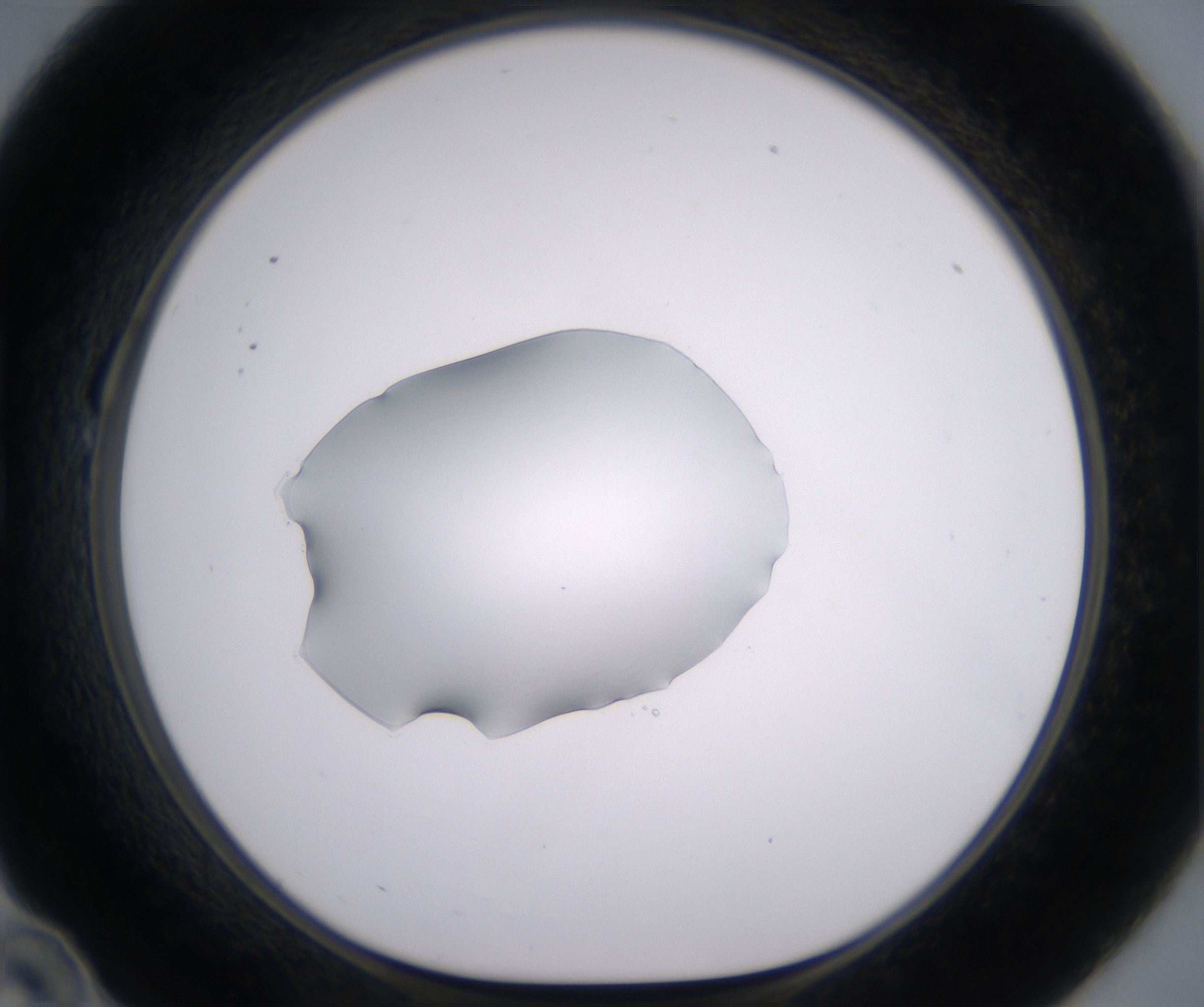 B10_HighResolution_Clear_1.jpg