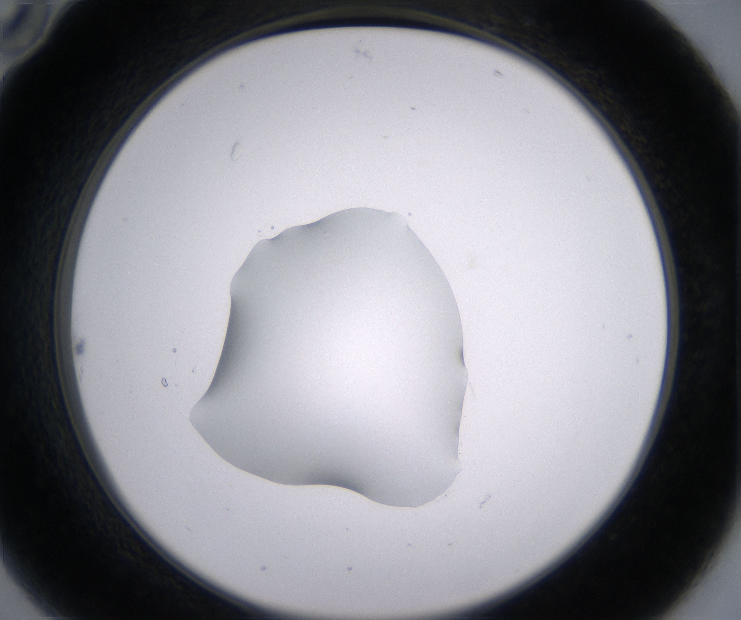 B10_HighResolution_Clear_2.jpg