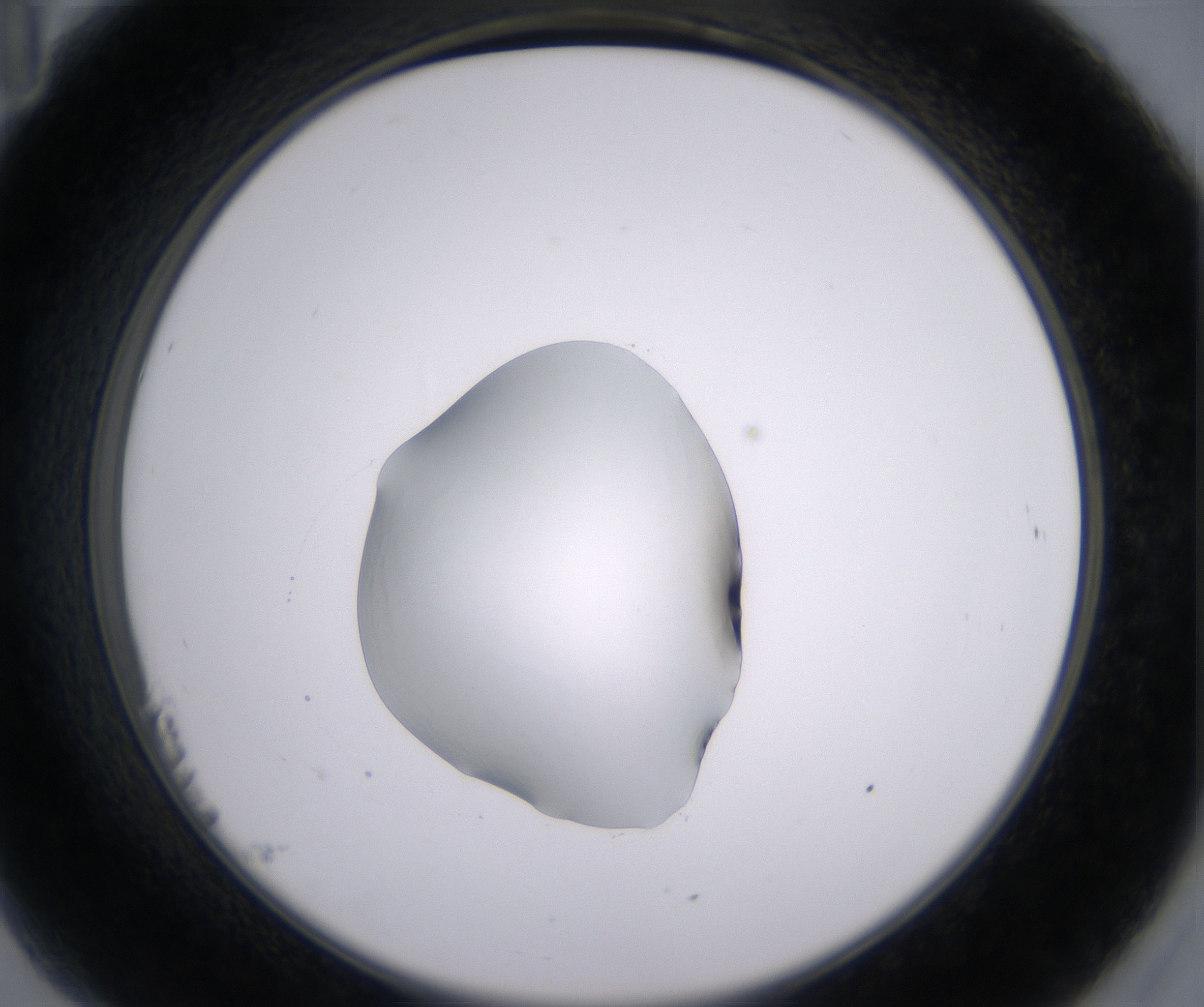 B11_HighResolution_Clear_2.jpg