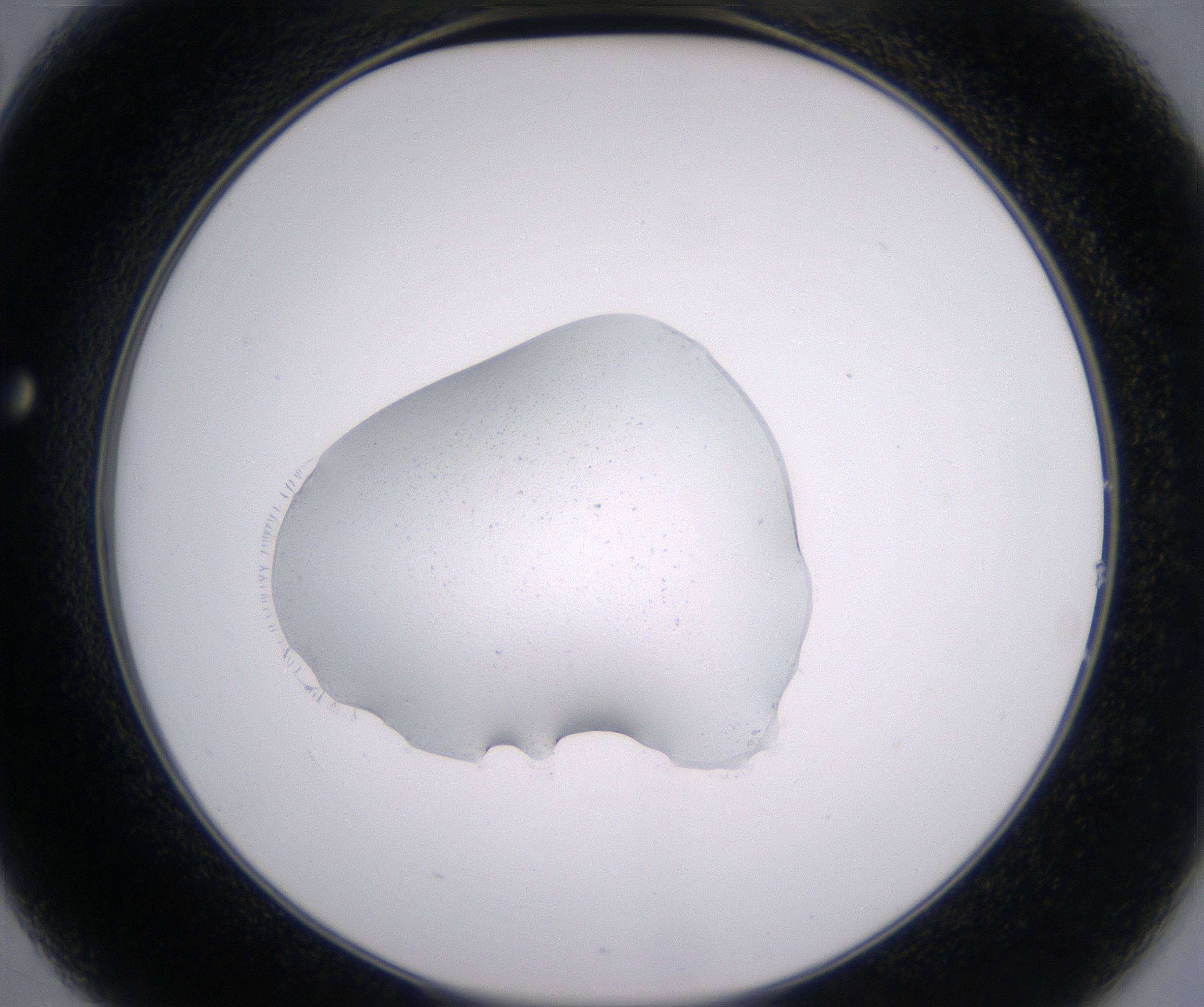 B2_HighResolution_Clear_2.jpg
