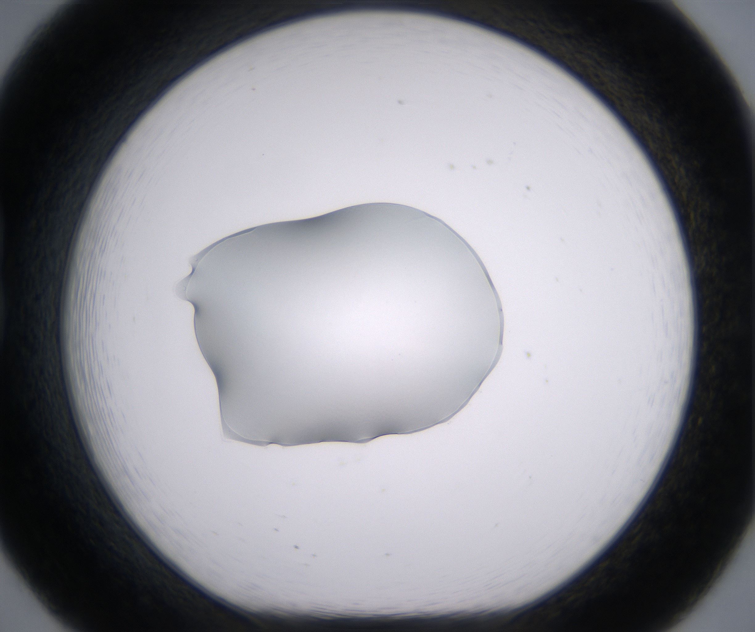 B8_HighResolution_Clear_1.jpg
