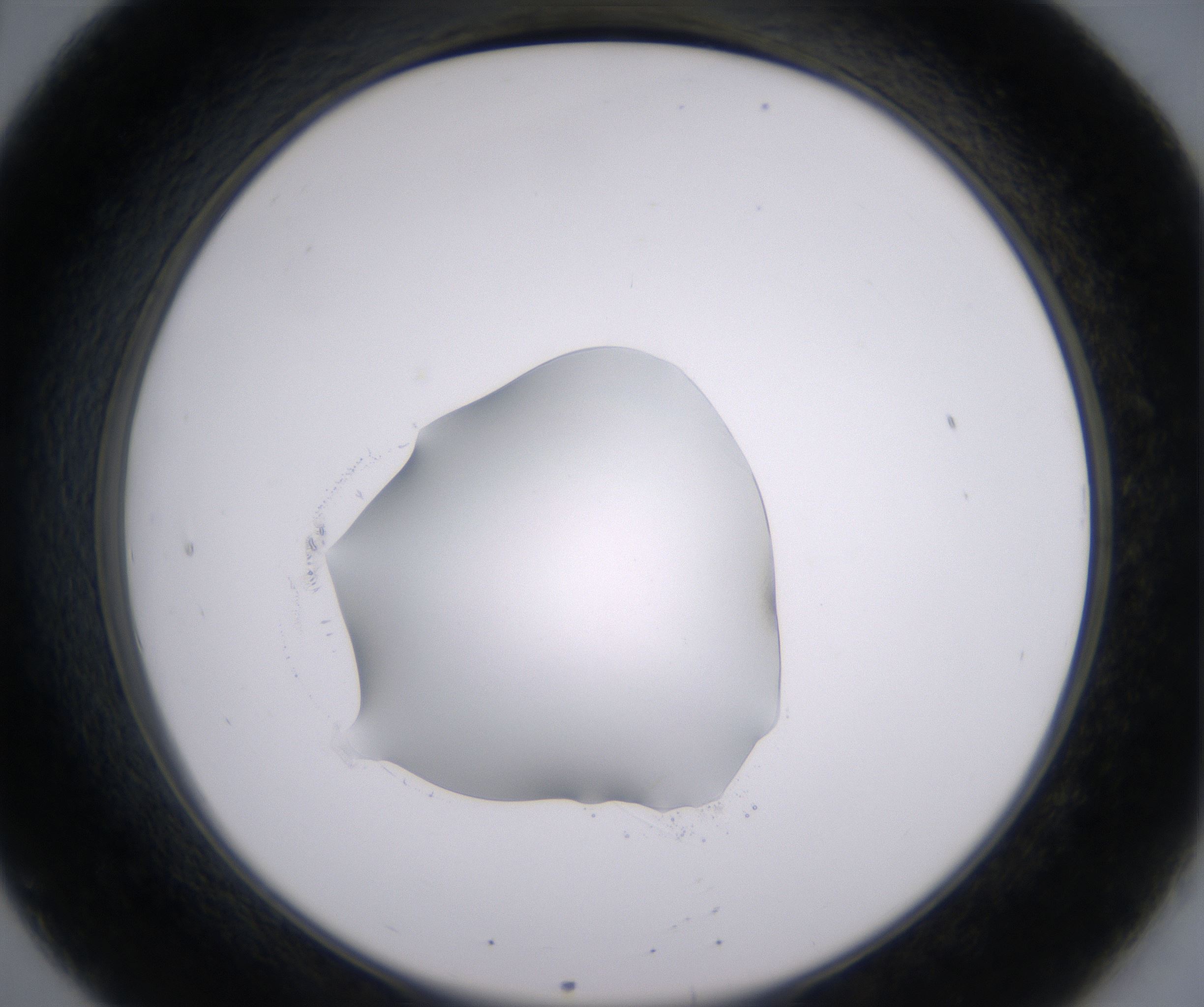 B8_HighResolution_Clear_2.jpg