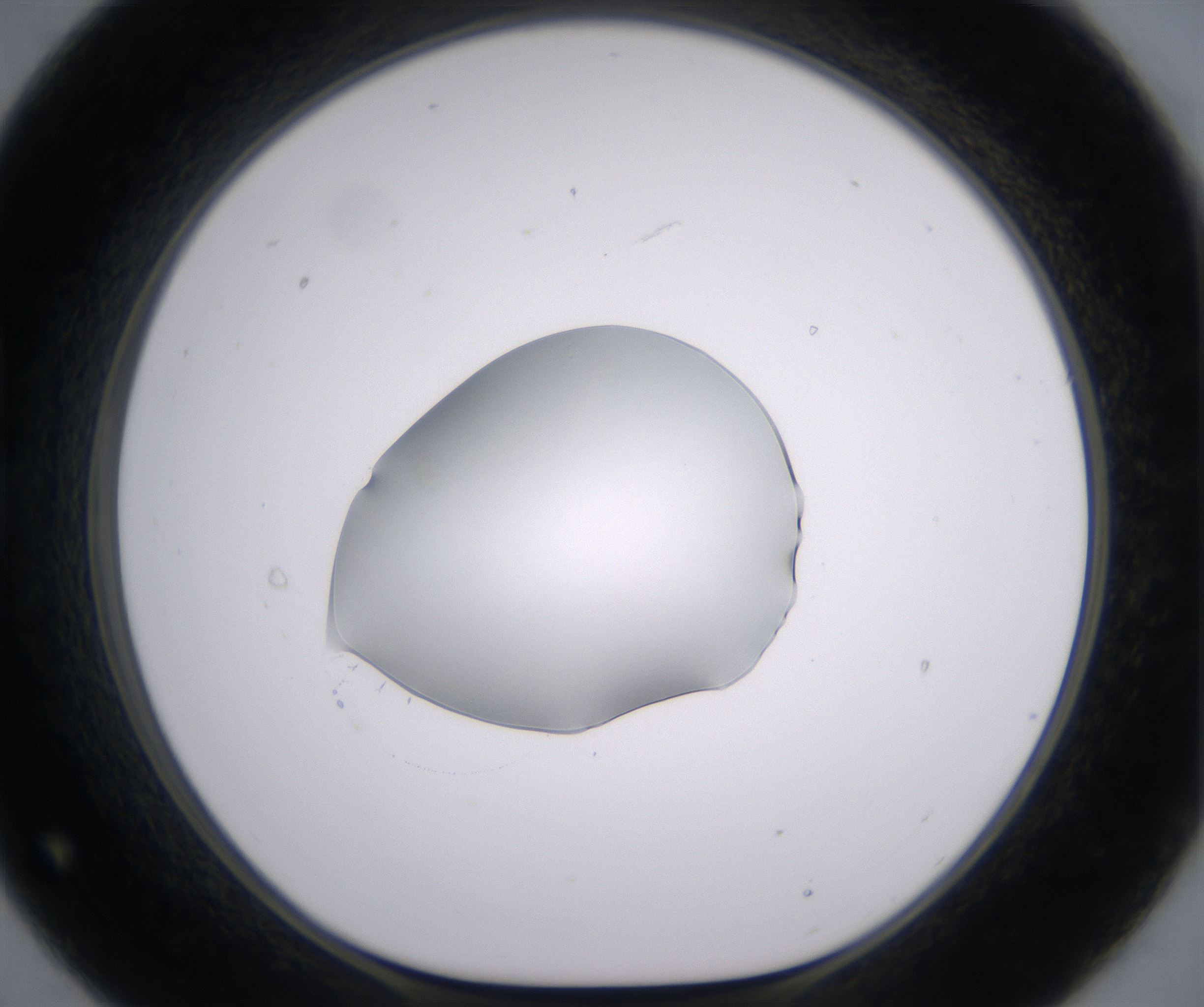 B9_HighResolution_Clear_1.jpg