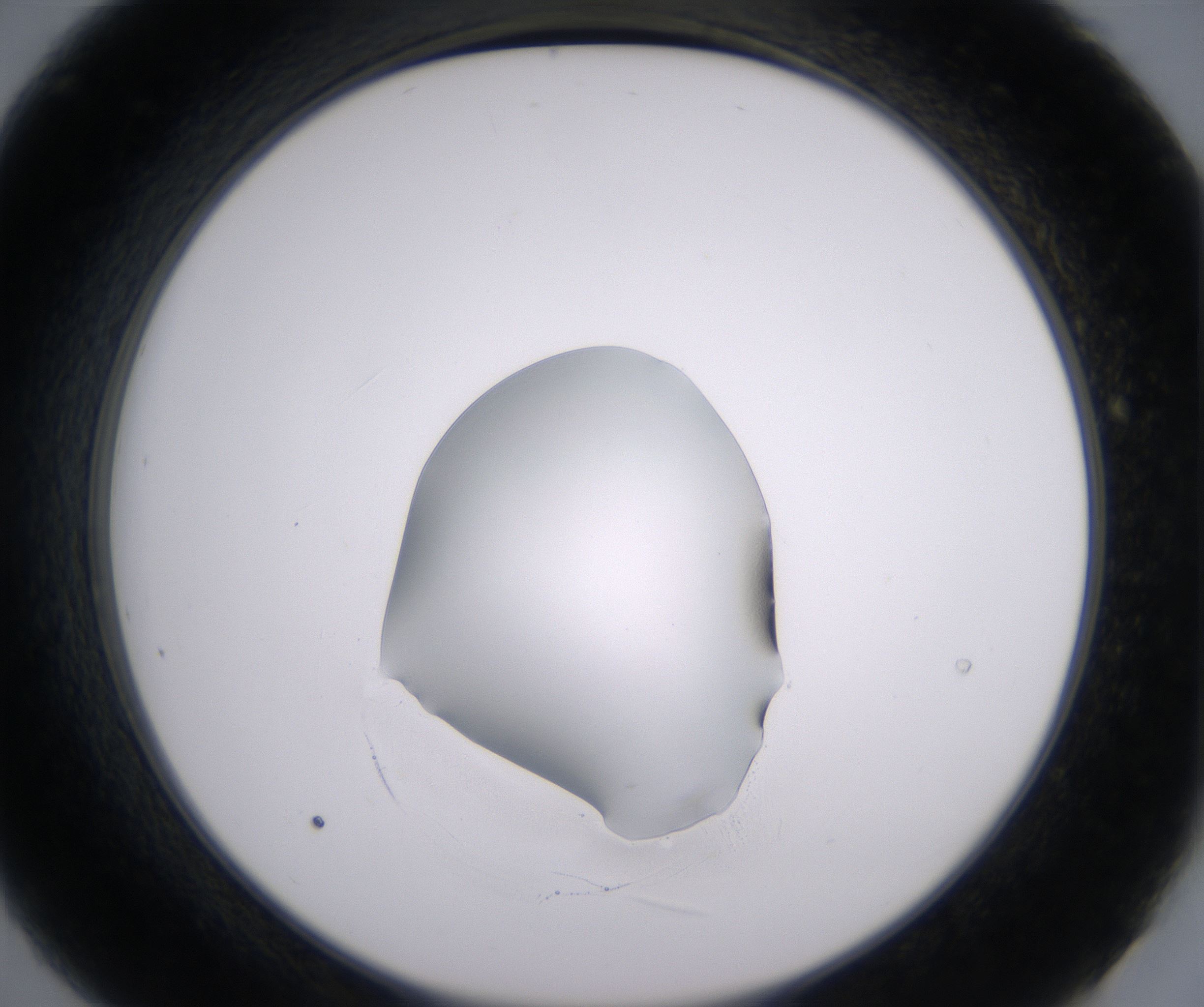B9_HighResolution_Clear_2.jpg