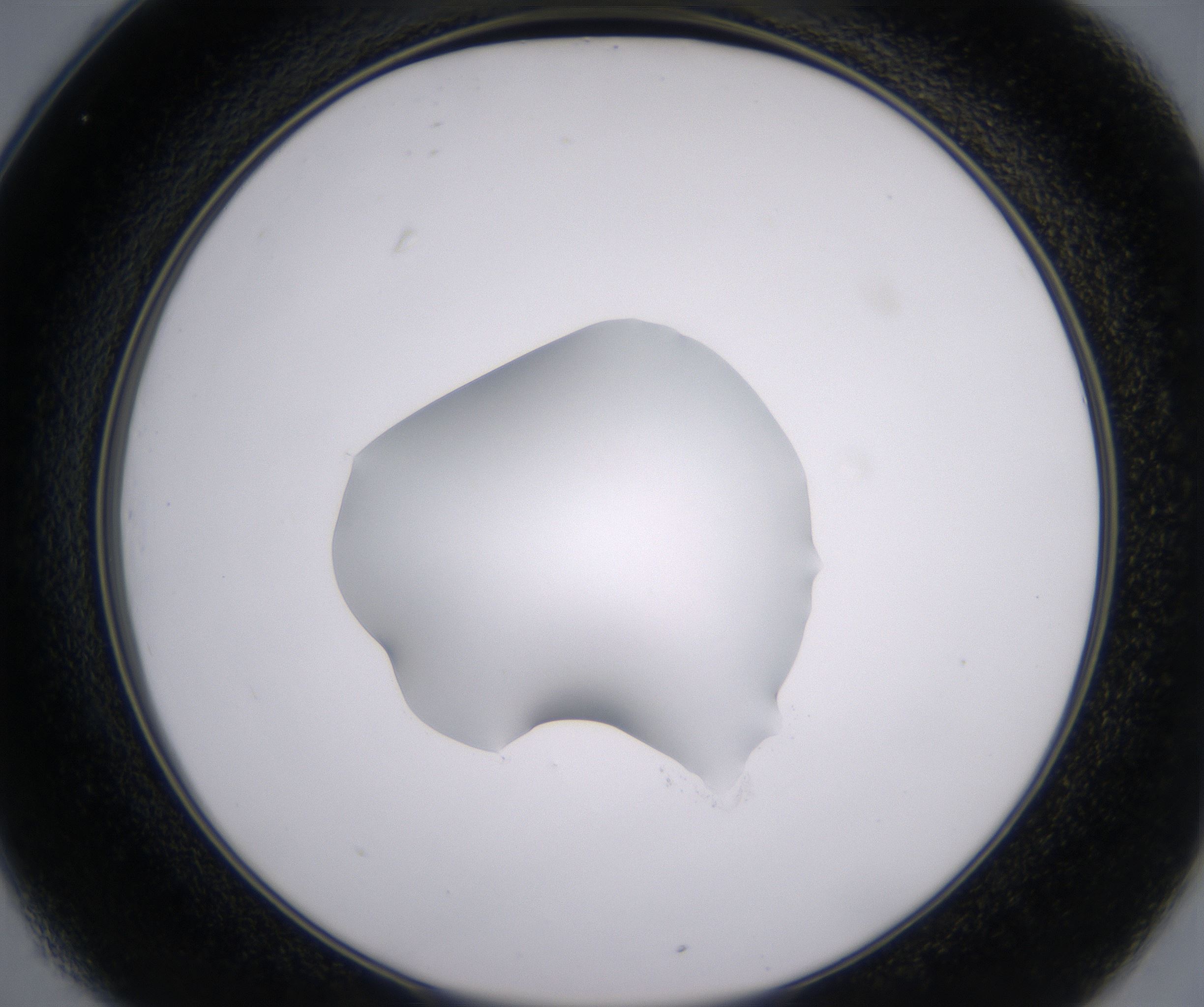 C1_HighResolution_Clear_2.jpg