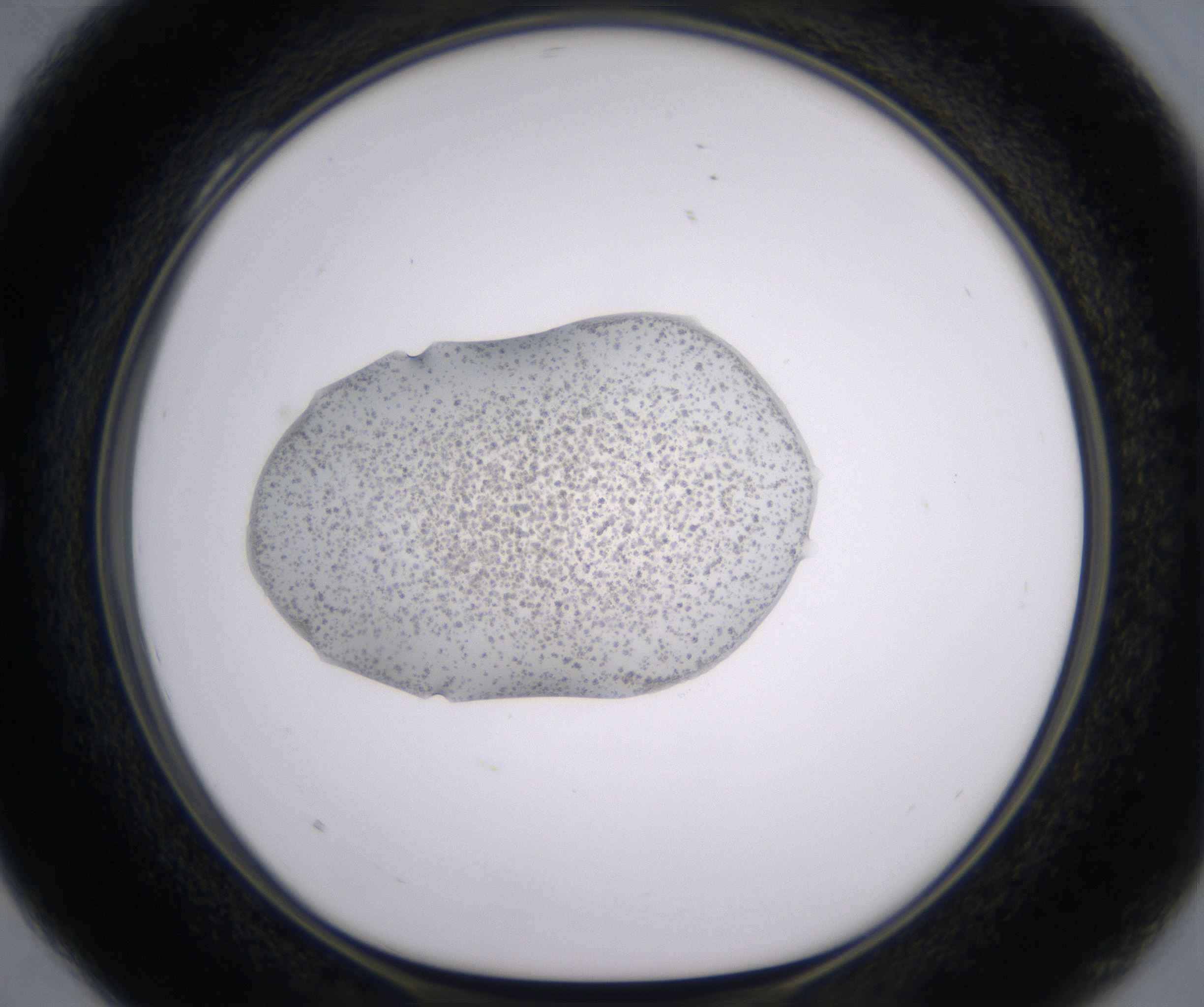 C4_HighResolution_Crystal_1.jpg