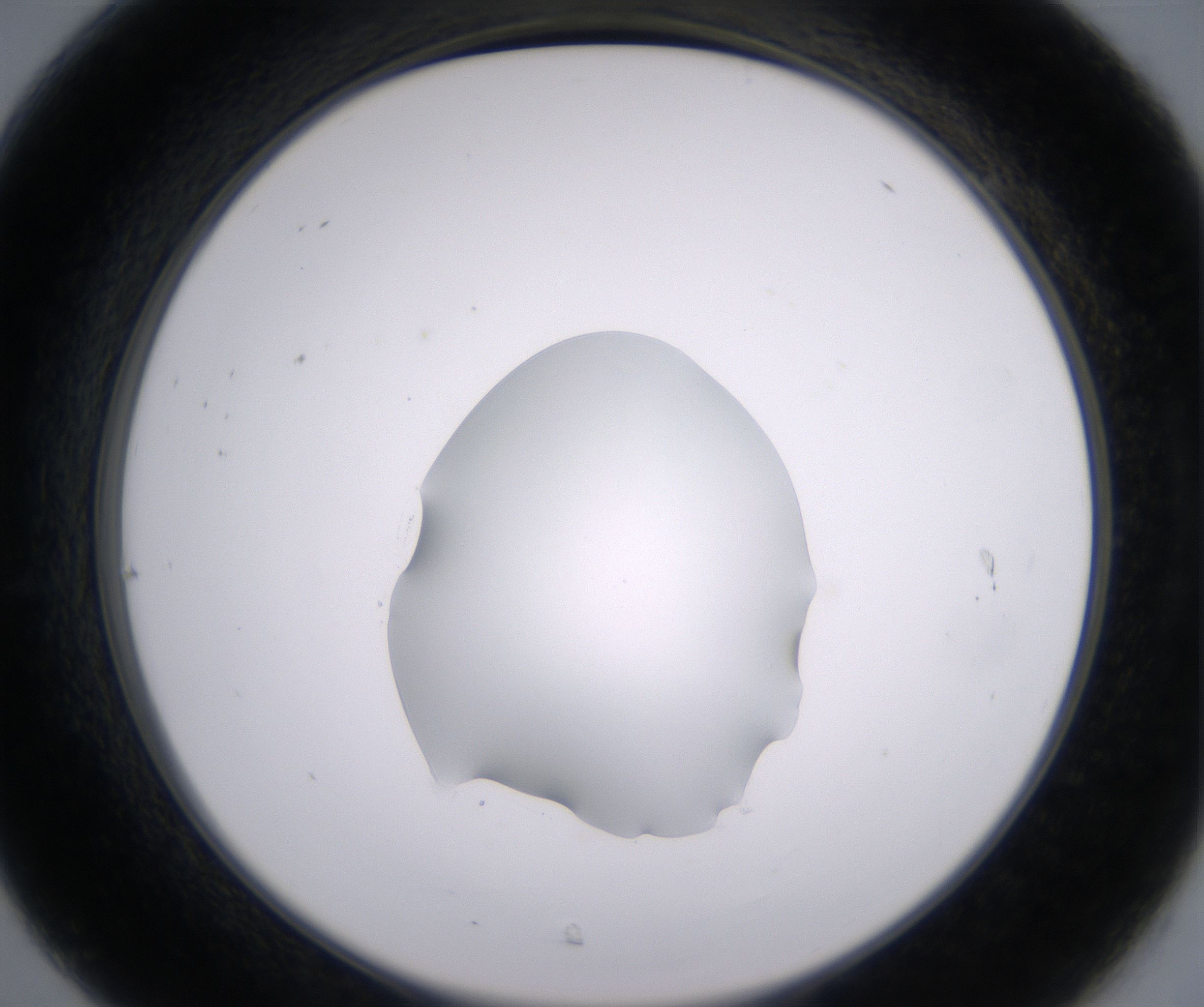 C7_HighResolution_Clear_2.jpg