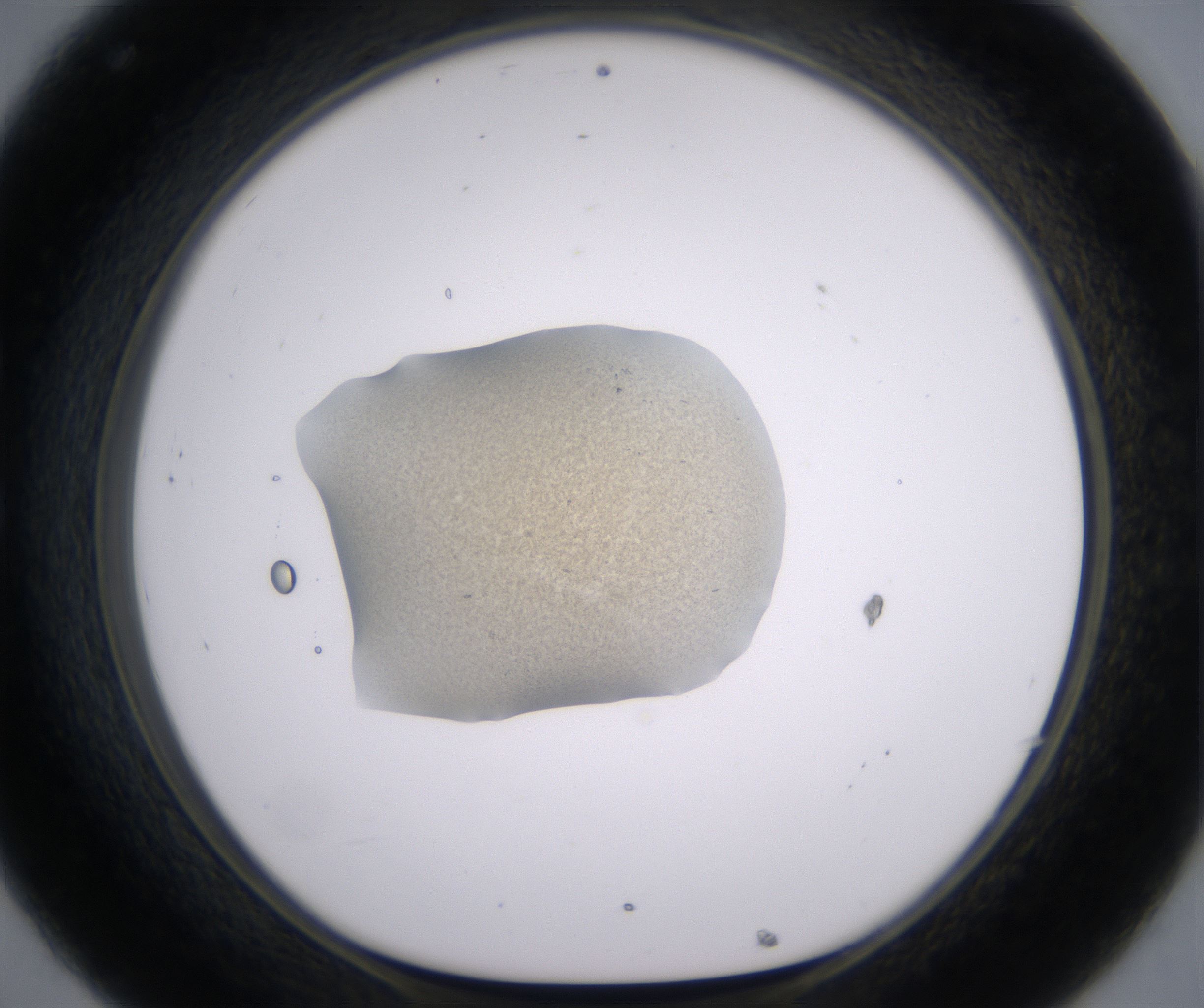 C8_HighResolution_Precipitate_1.jpg