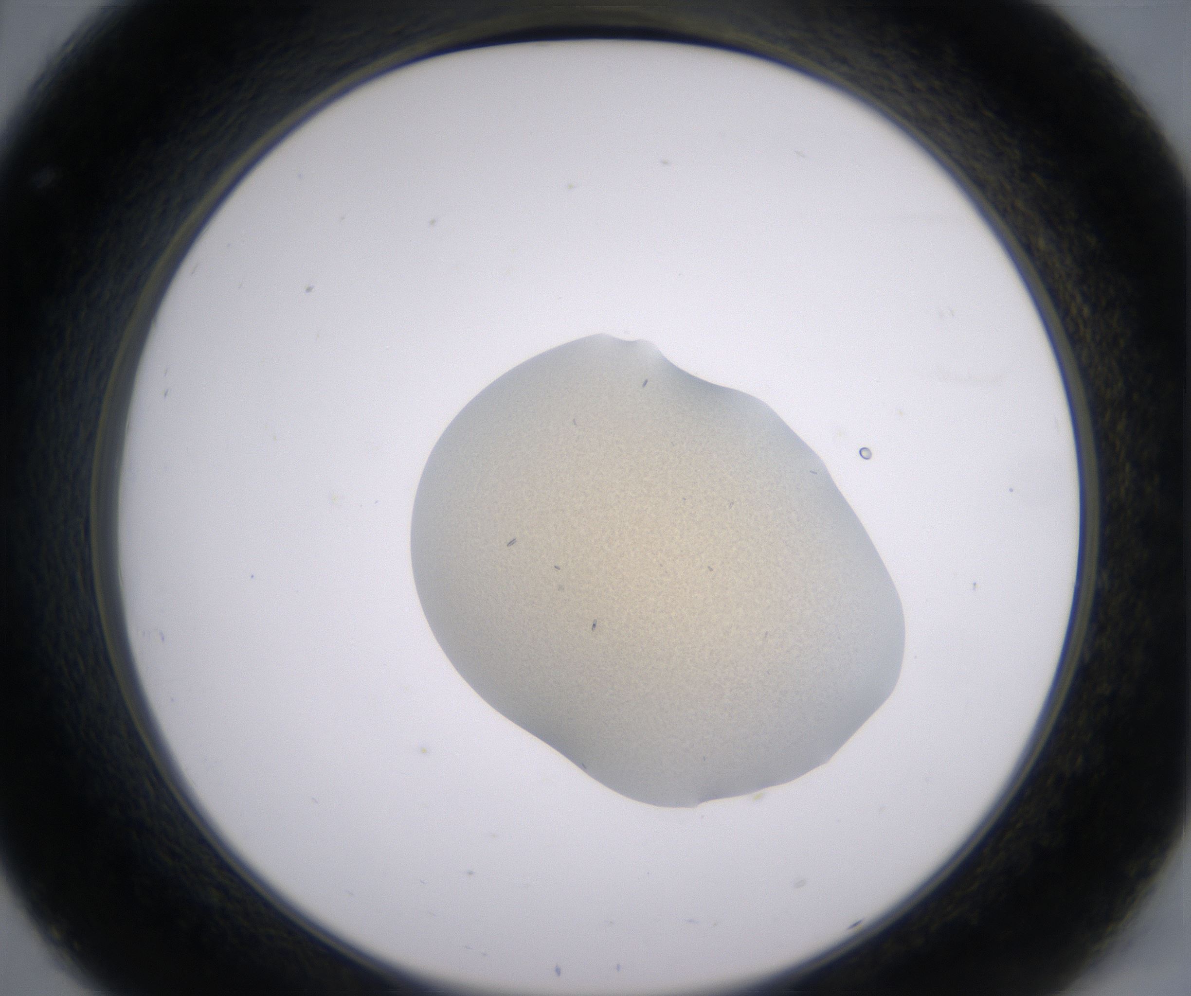 C8_HighResolution_Precipitate_2.jpg