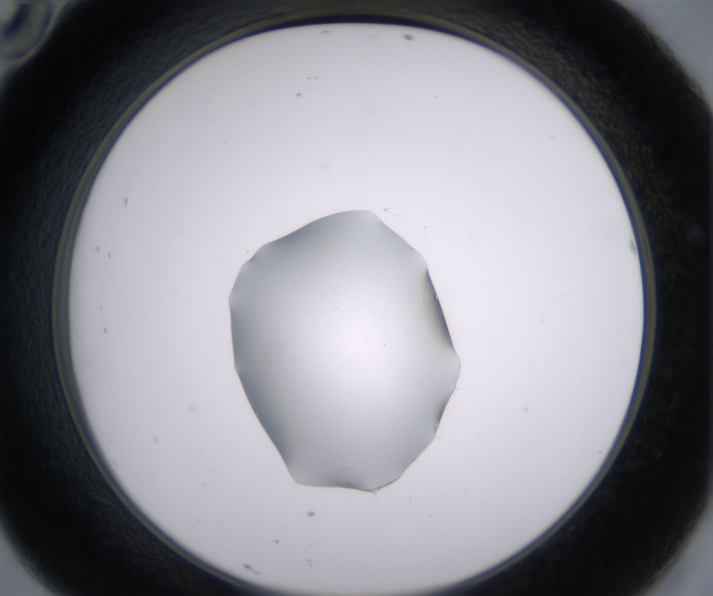 D10_HighResolution_Clear_2.jpg