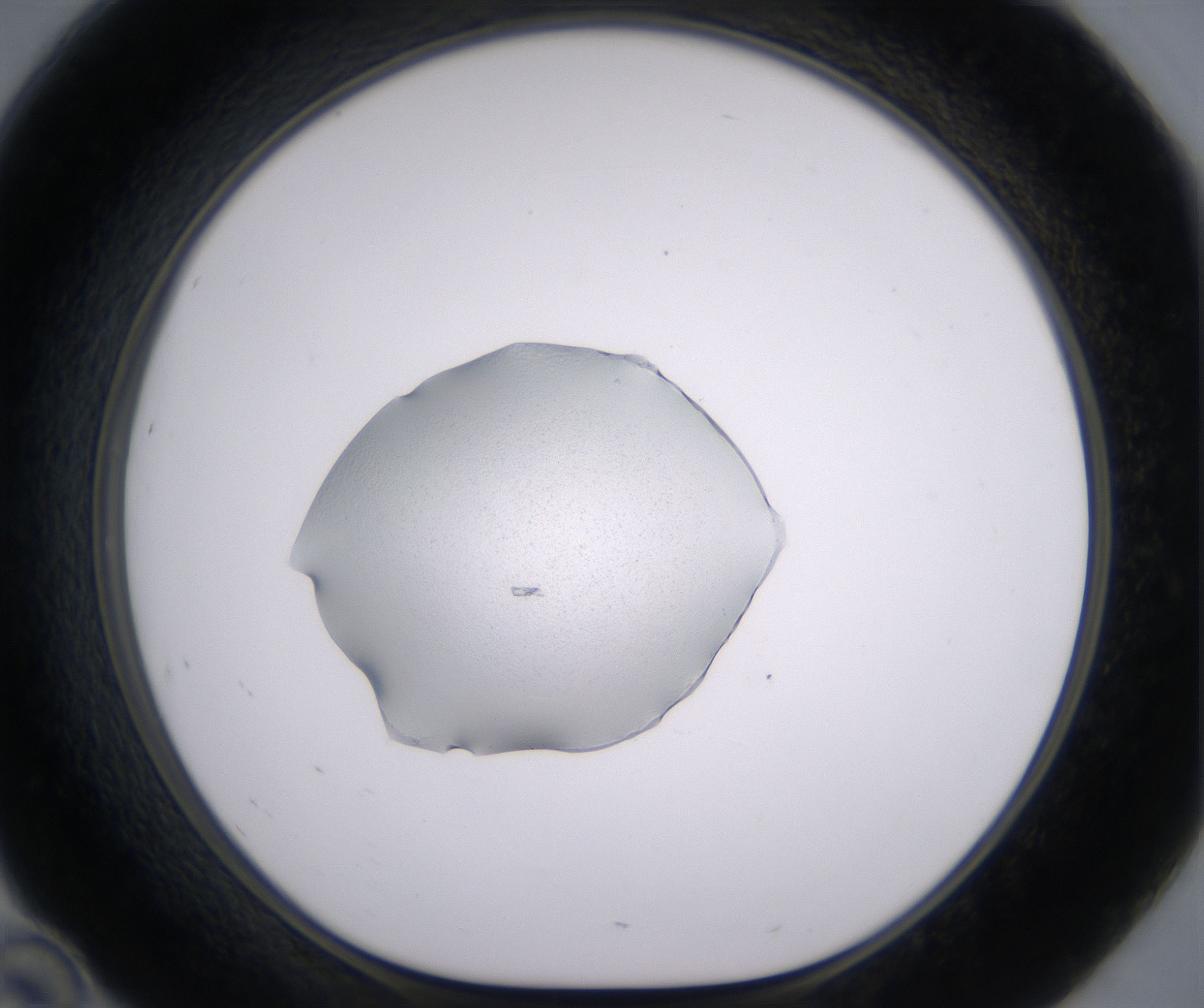 D10_HighResolution_Precipitate_1.jpg