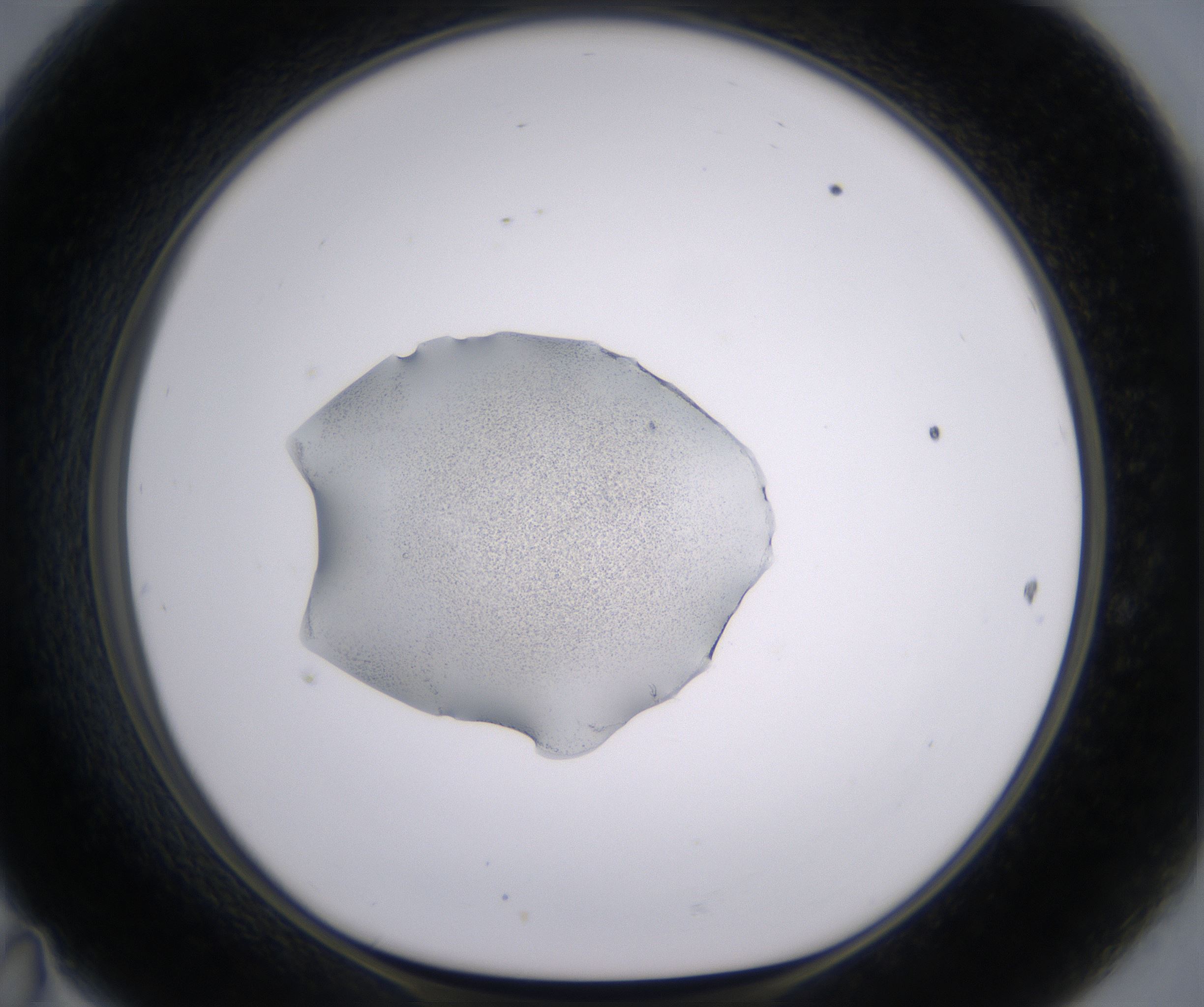 D11_HighResolution_Precipitate_1.jpg