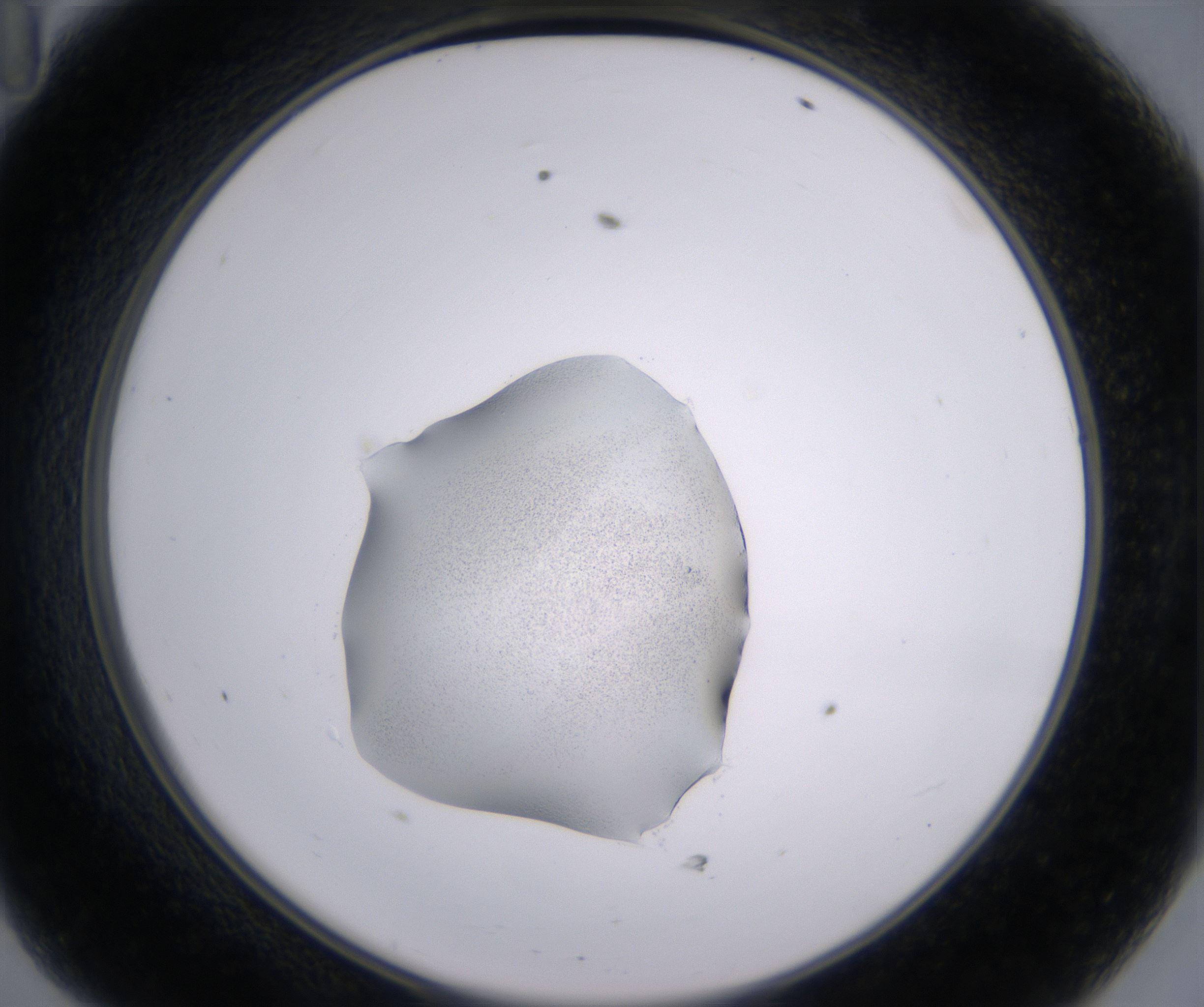 D11_HighResolution_Precipitate_2.jpg