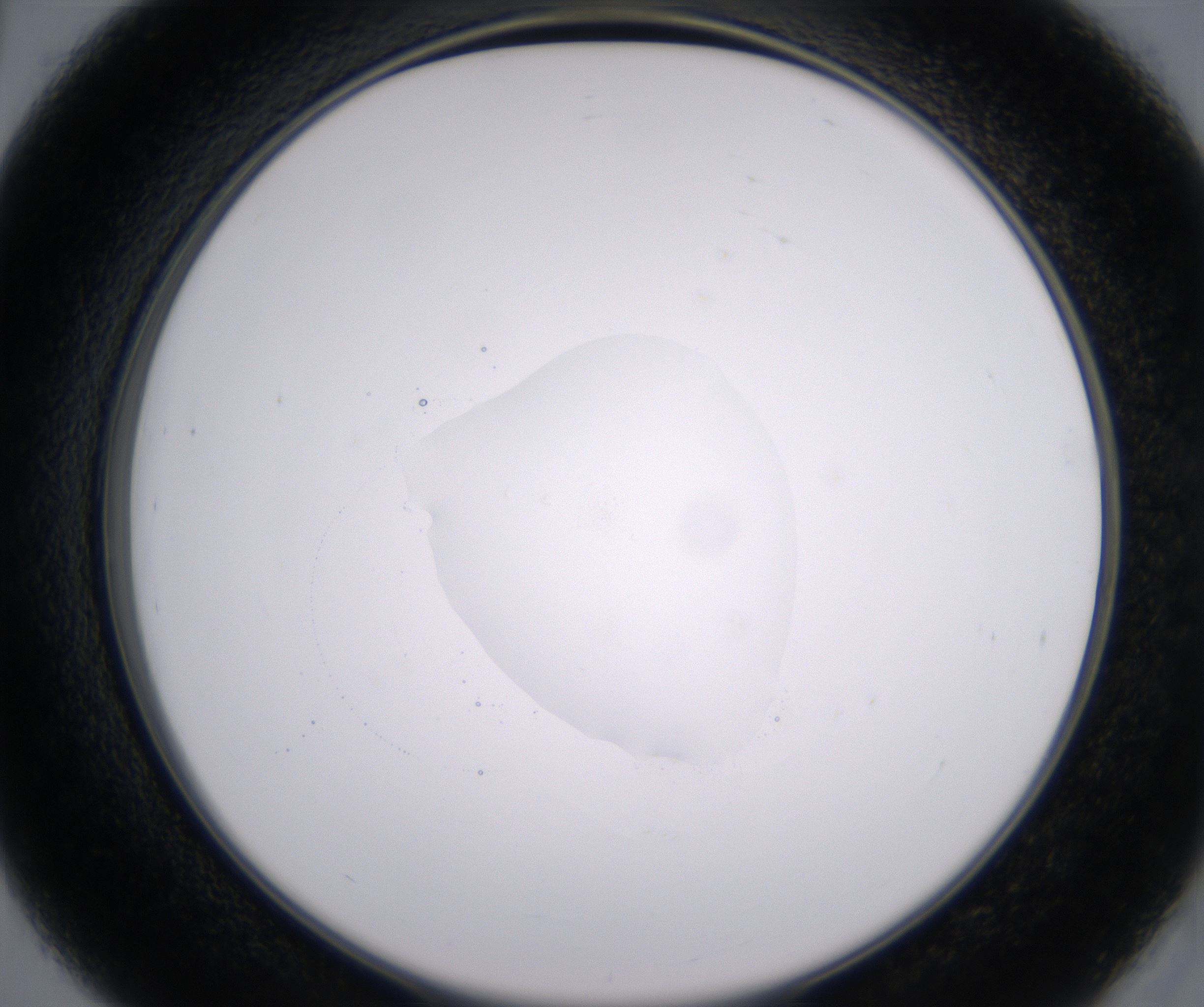 D3_HighResolution_Clear_2.jpg