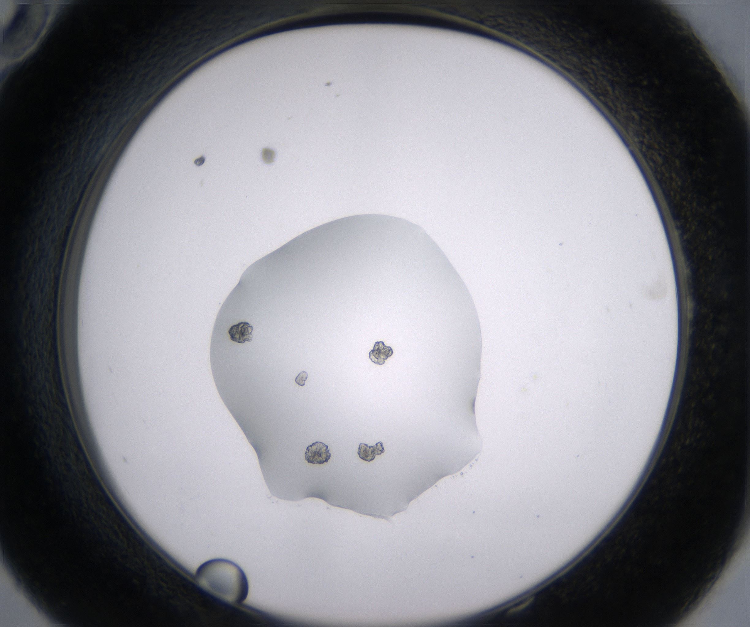 E10_HighResolution_Crystal_2.jpg