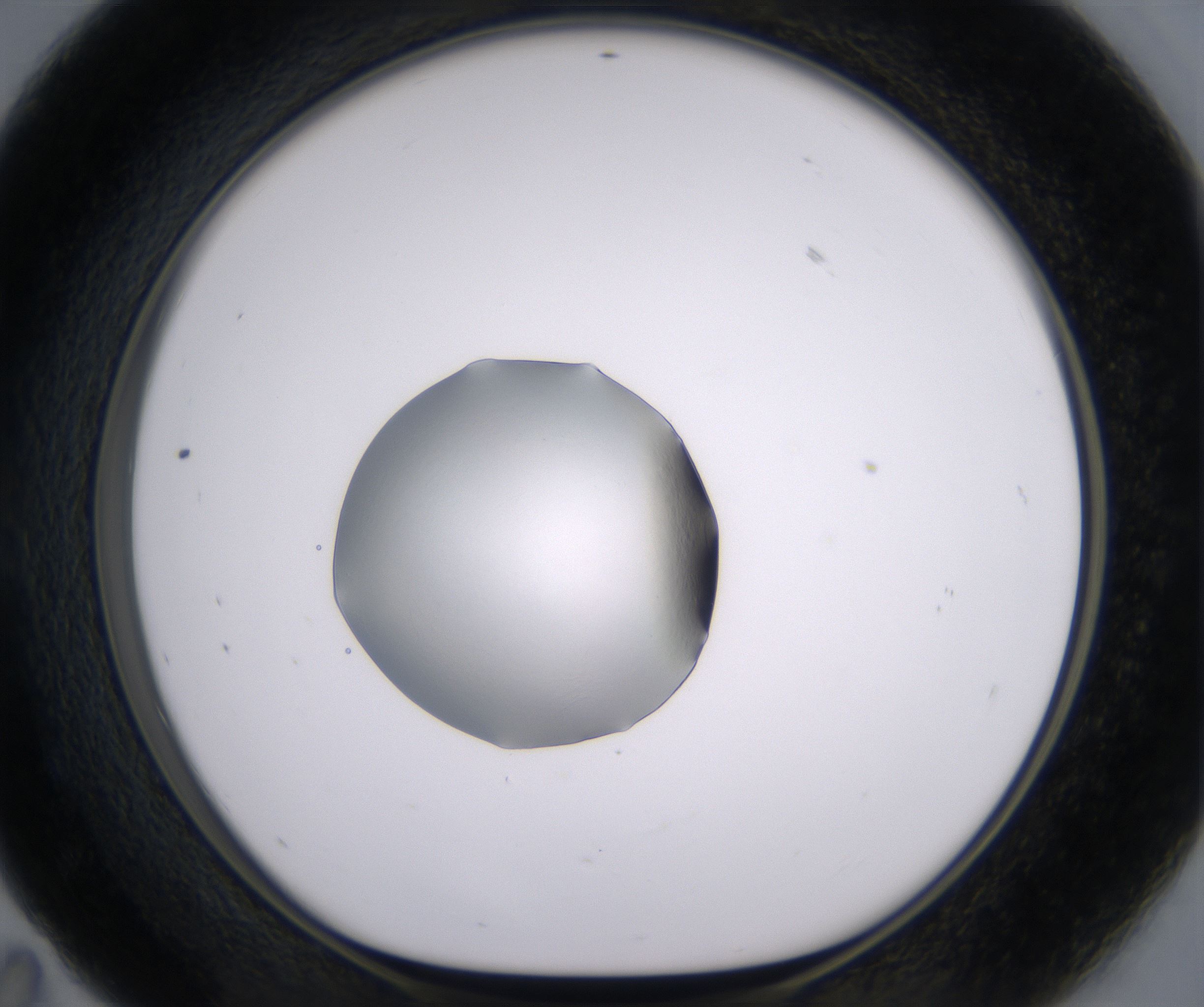 E11_HighResolution_Clear_1.jpg