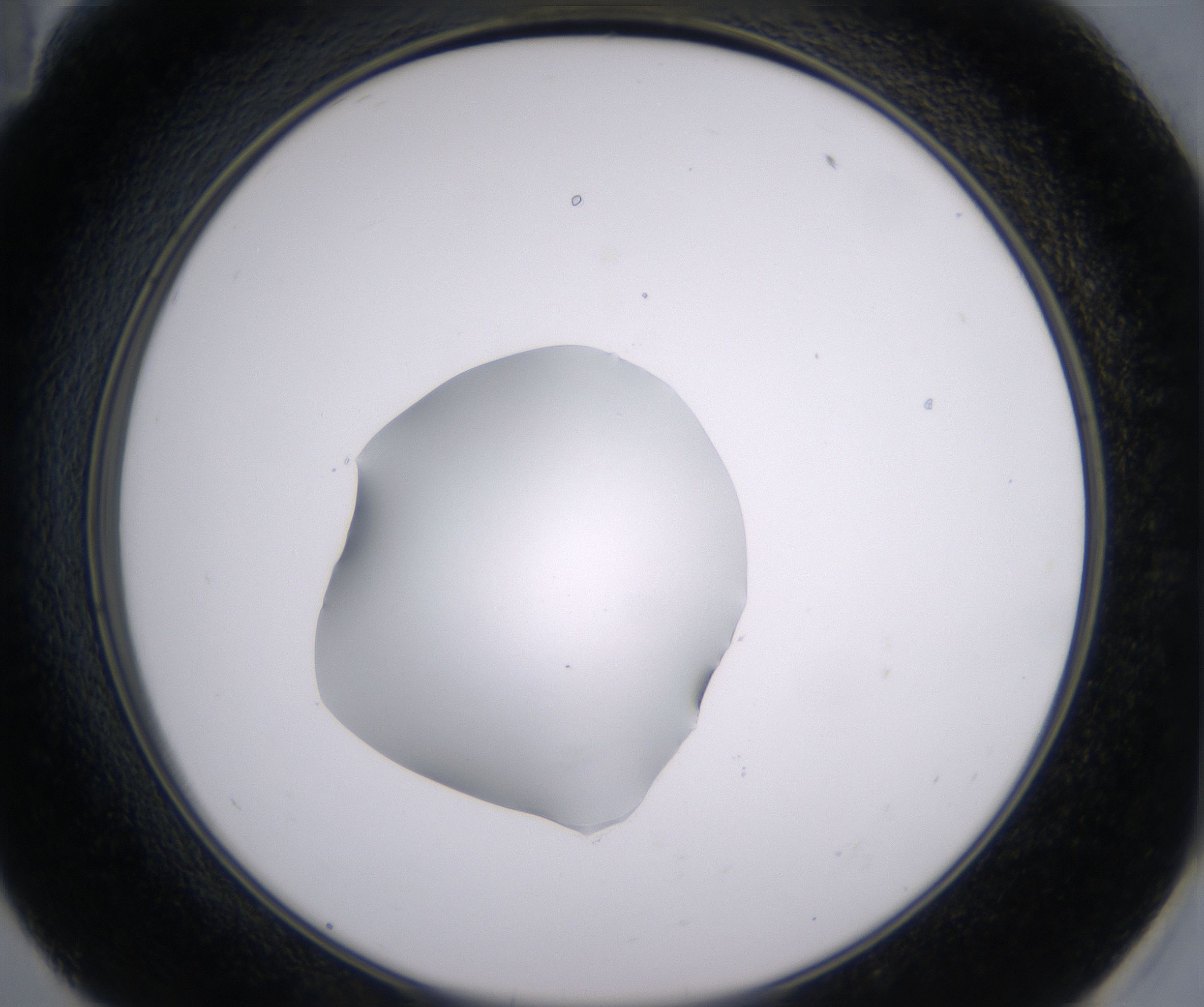 E11_HighResolution_Clear_2.jpg
