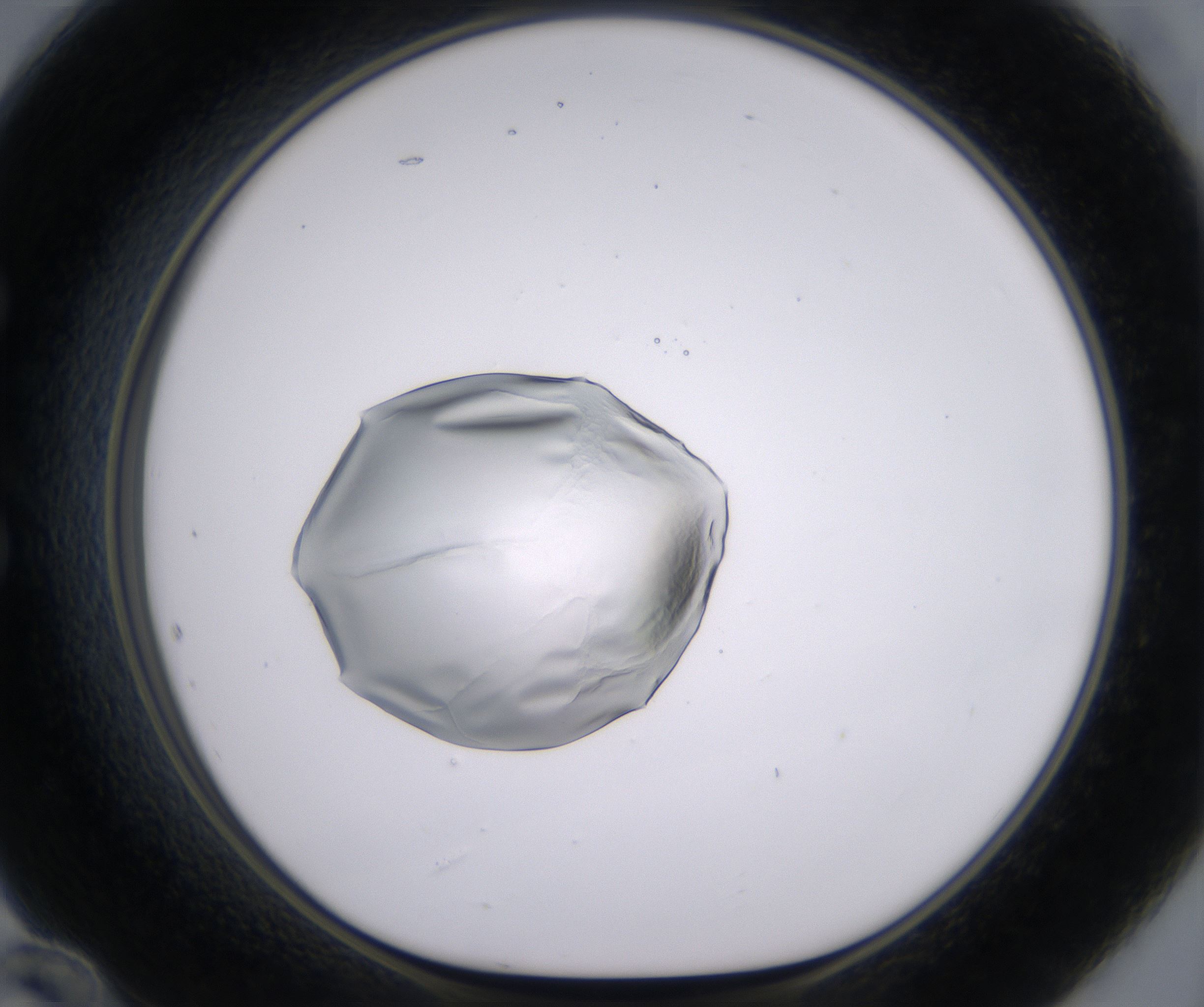 E12_HighResolution_Clear_1.jpg