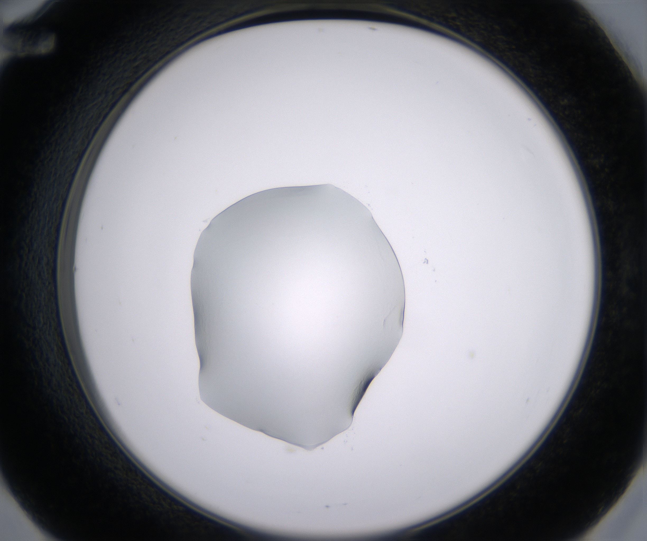 E12_HighResolution_Clear_2.jpg