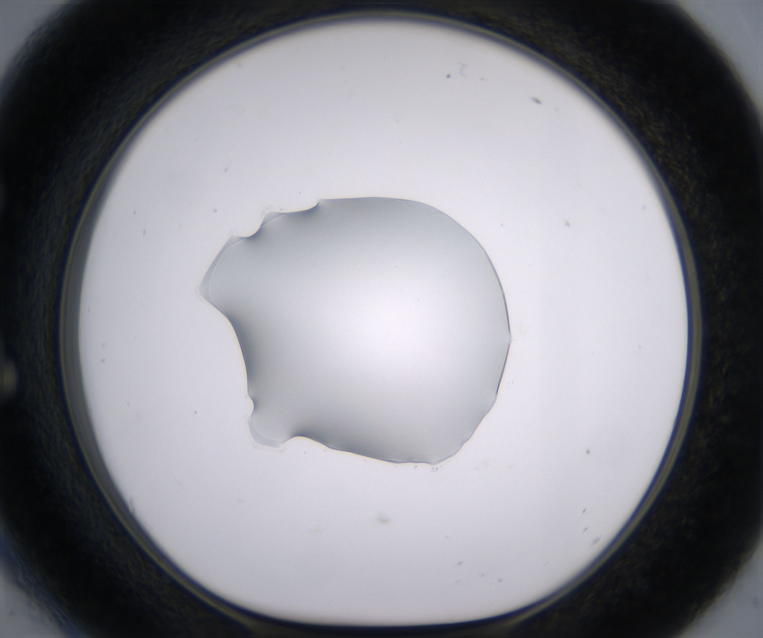 E6_HighResolution_Clear_1.jpg