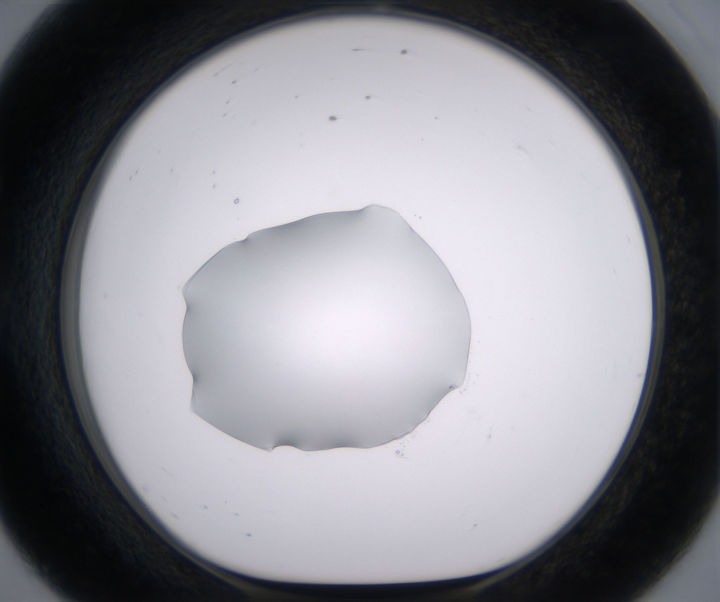 E8_HighResolution_Clear_1.jpg