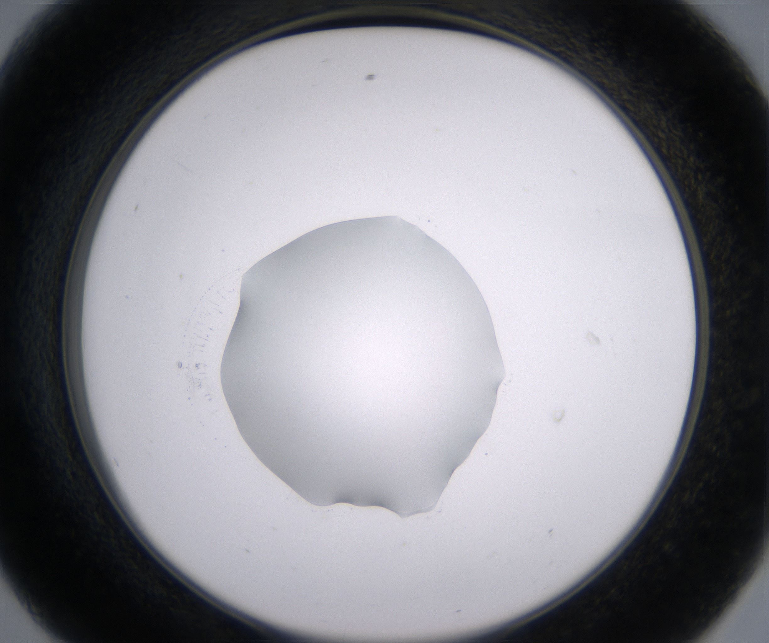 E8_HighResolution_Clear_2.jpg