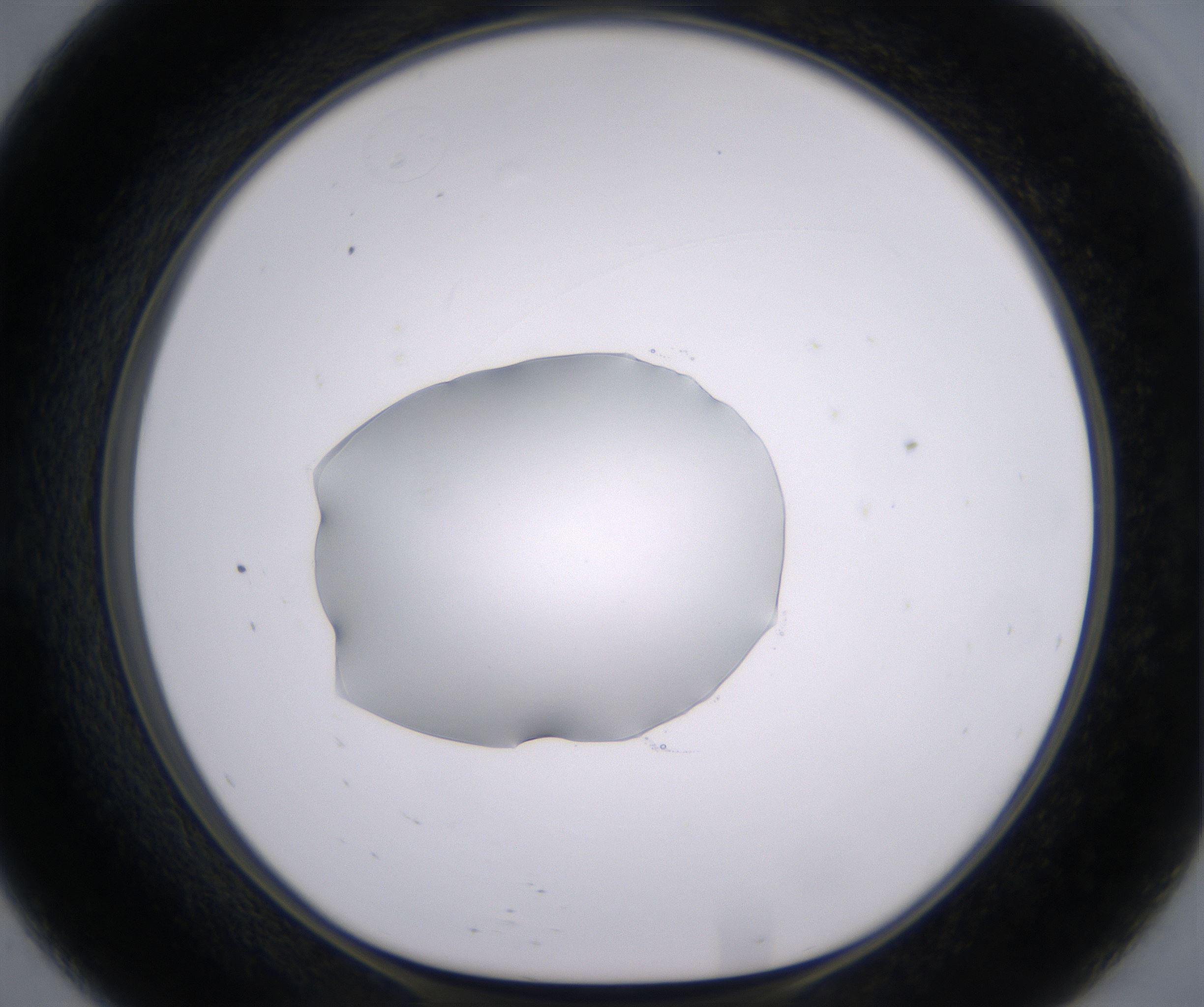 E9_HighResolution_Clear_1.jpg