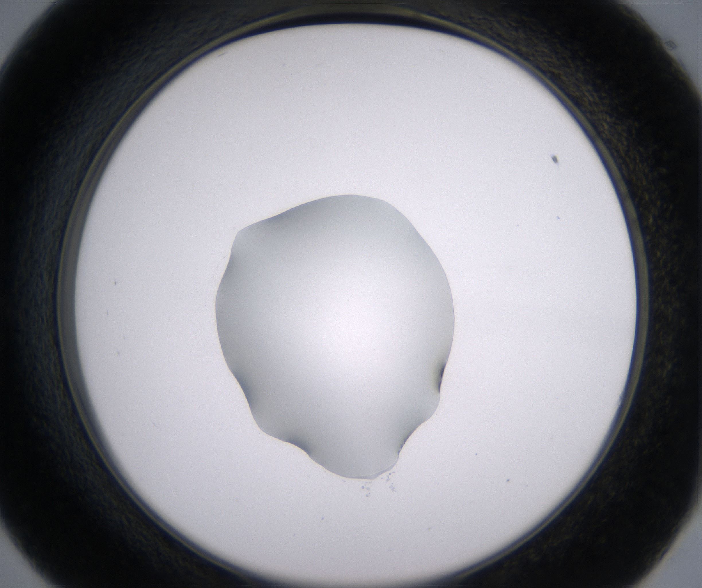 E9_HighResolution_Clear_2.jpg