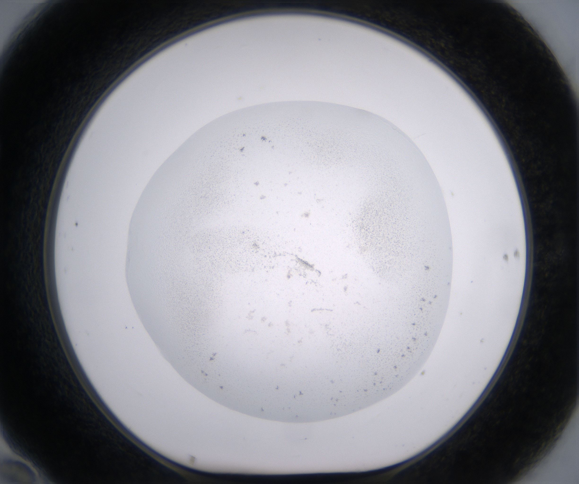 F10_HighResolution_Precipitate_1.jpg