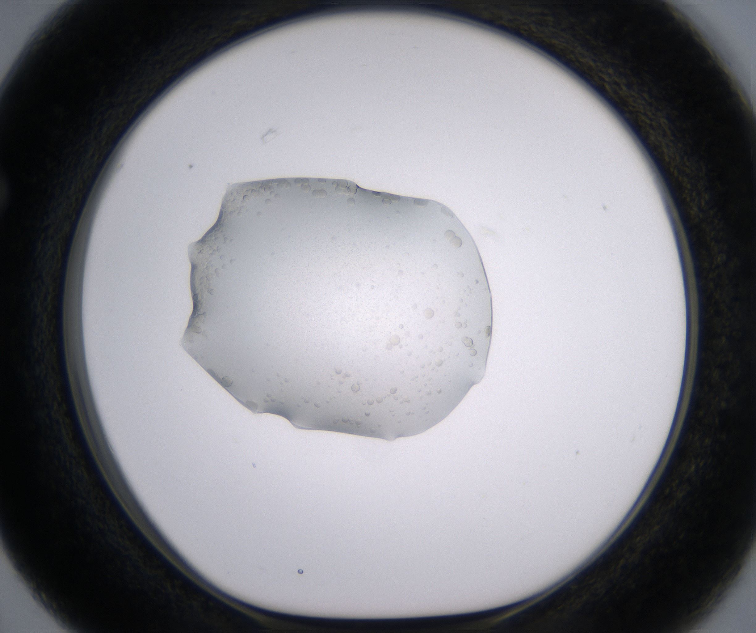 F3_HighResolution_Precipitate_1.jpg