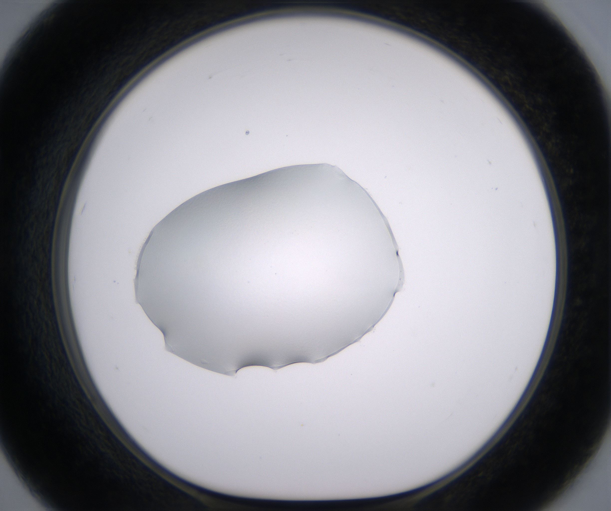 F7_HighResolution_Clear_1.jpg