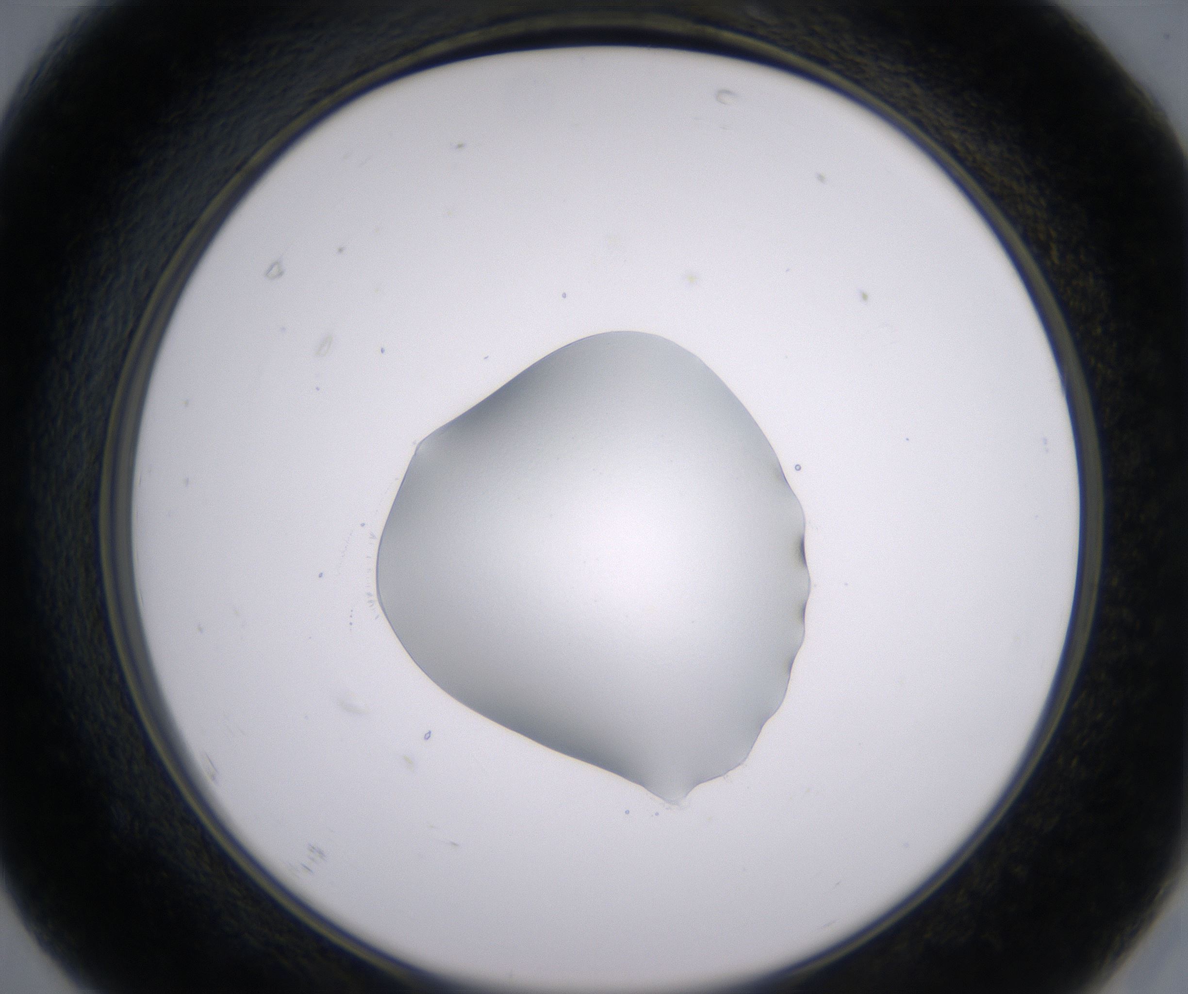 F7_HighResolution_Clear_2.jpg