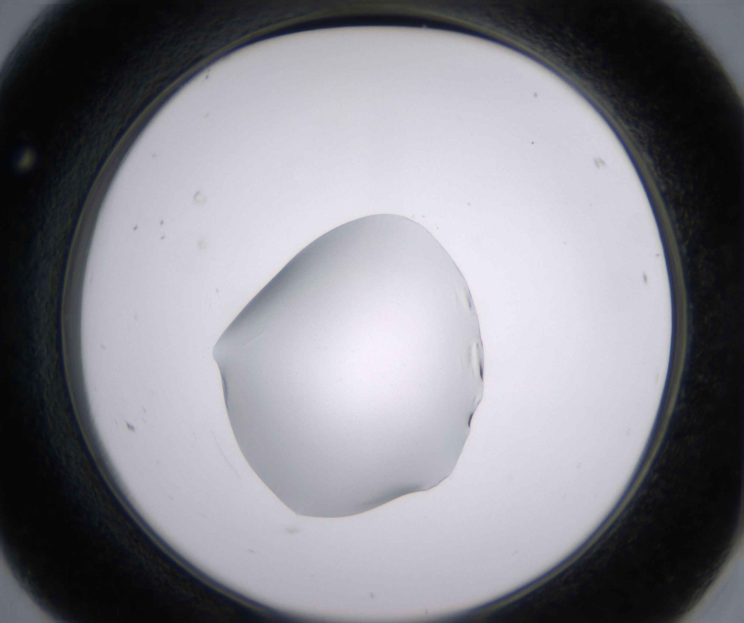 F8_HighResolution_Clear_2.jpg