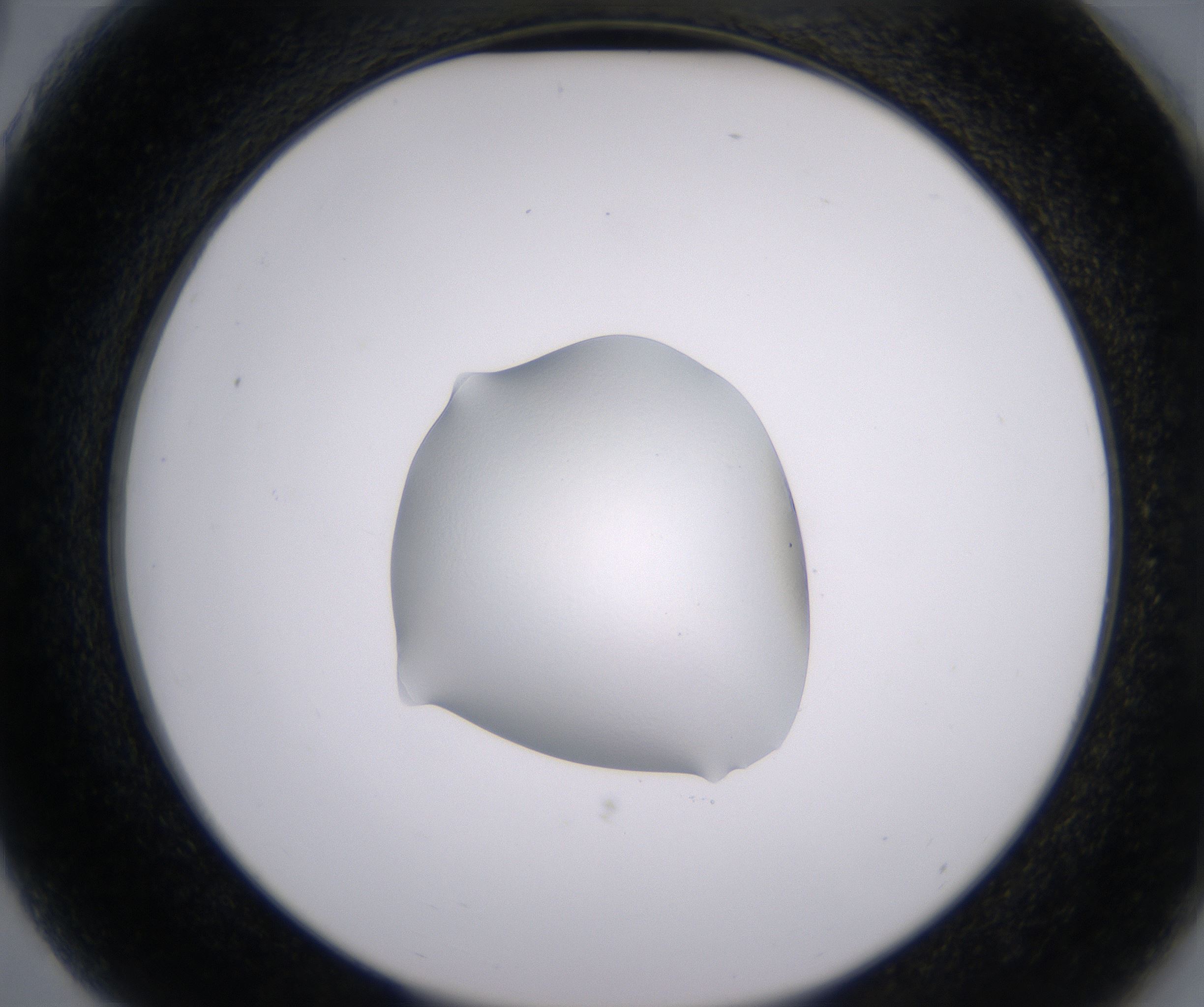 G3_HighResolution_Clear_2.jpg