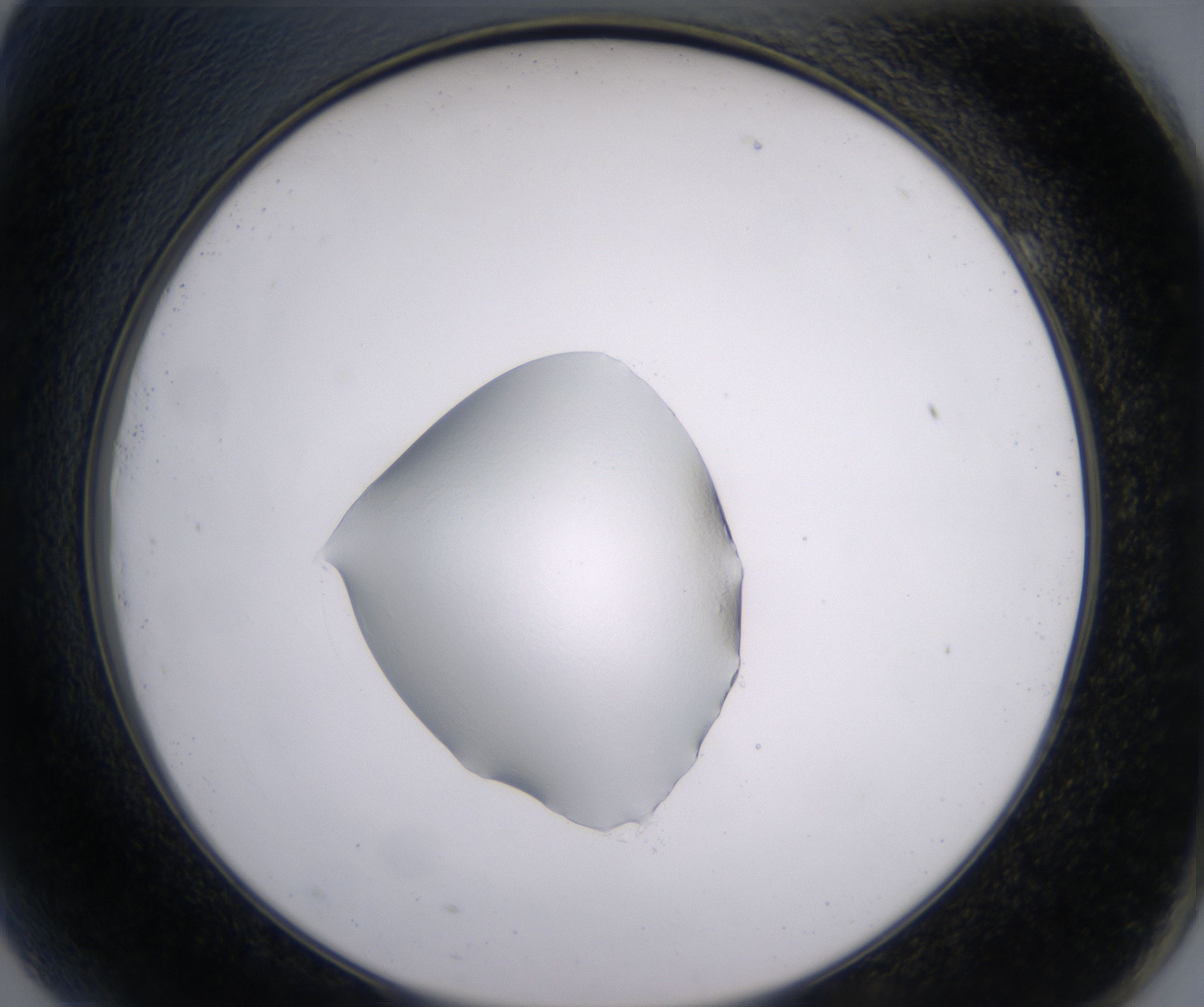 G9_HighResolution_Clear_2.jpg