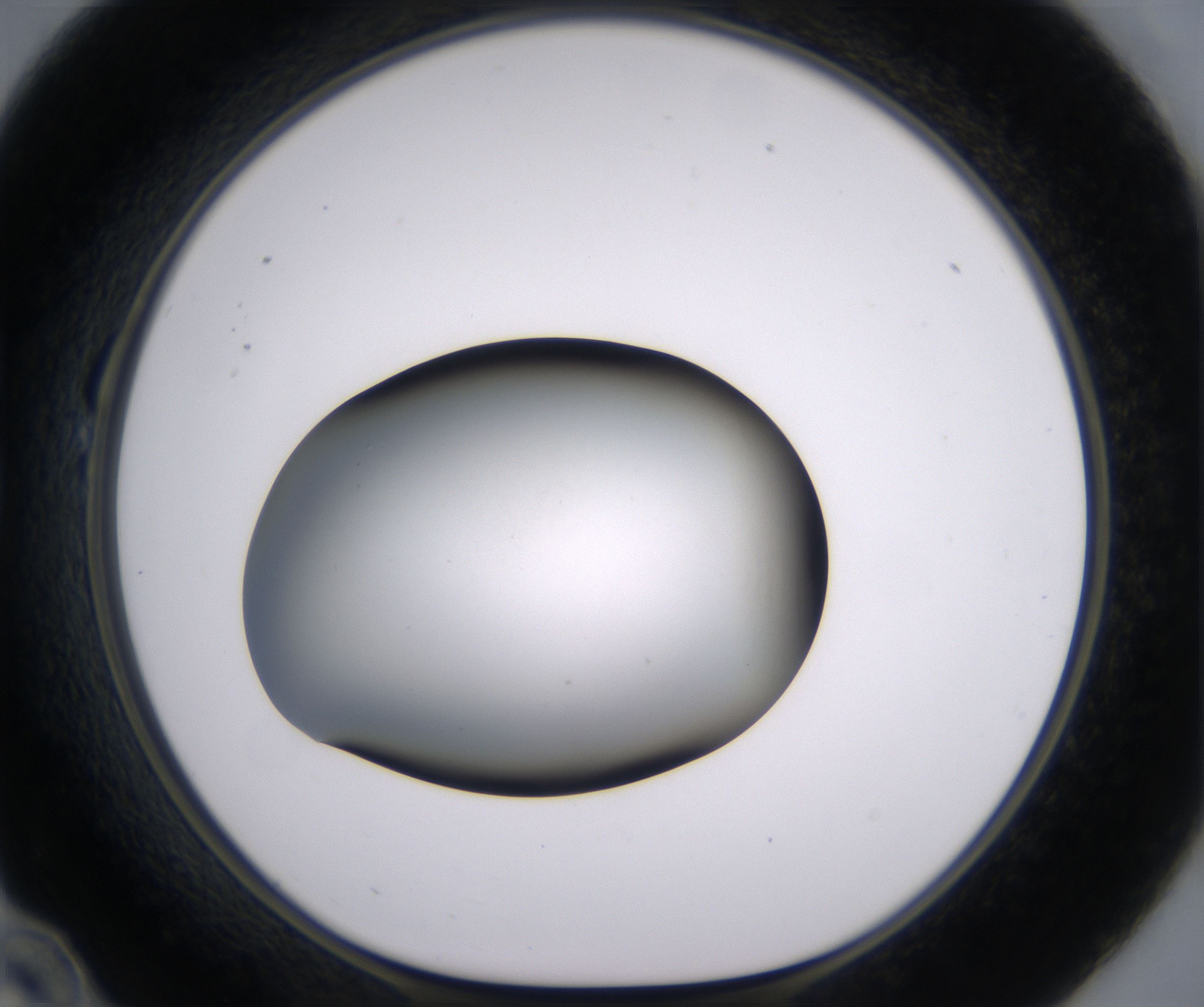 B10_HighResolution_Clear_1.jpg
